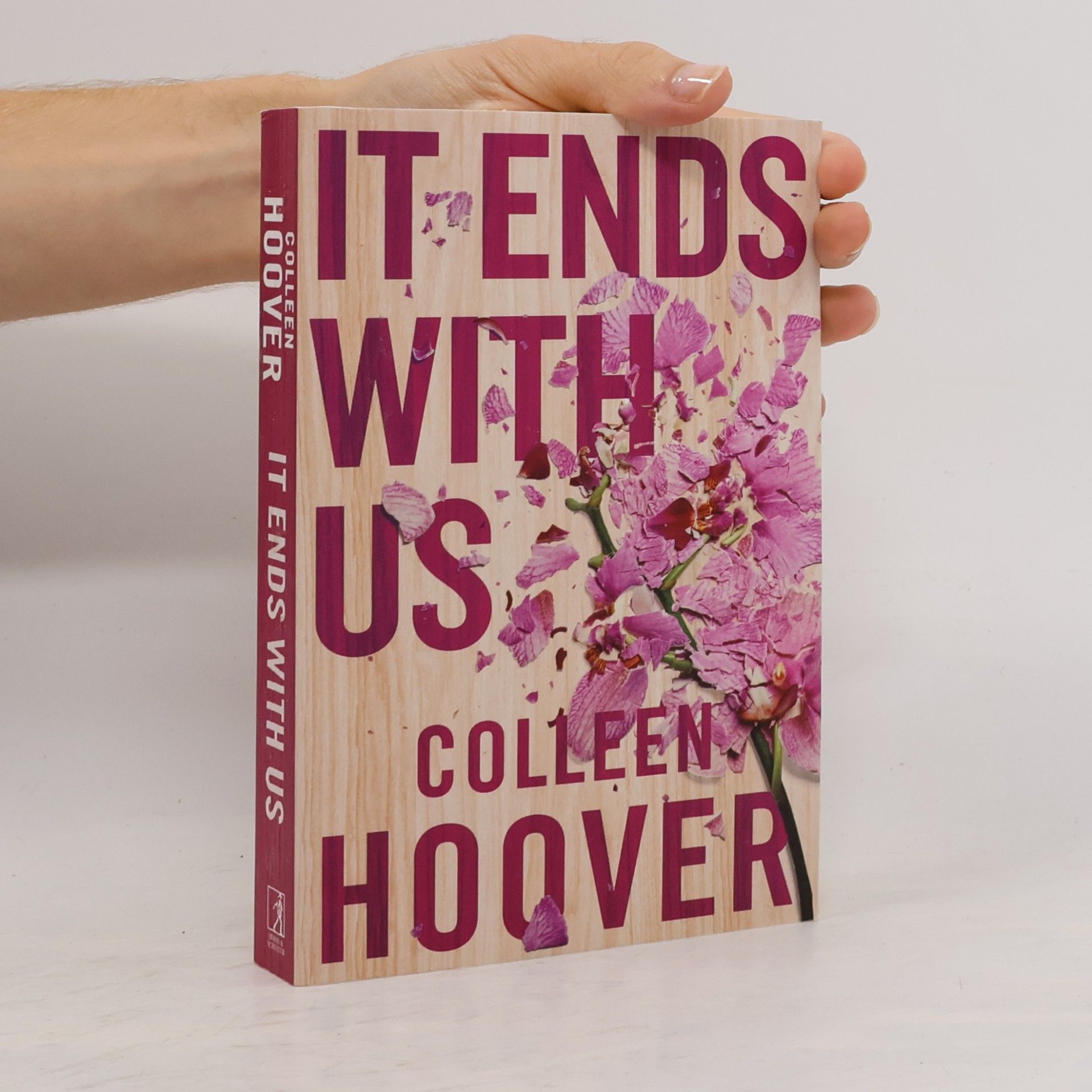 Colleen Hoover It Ends With Us