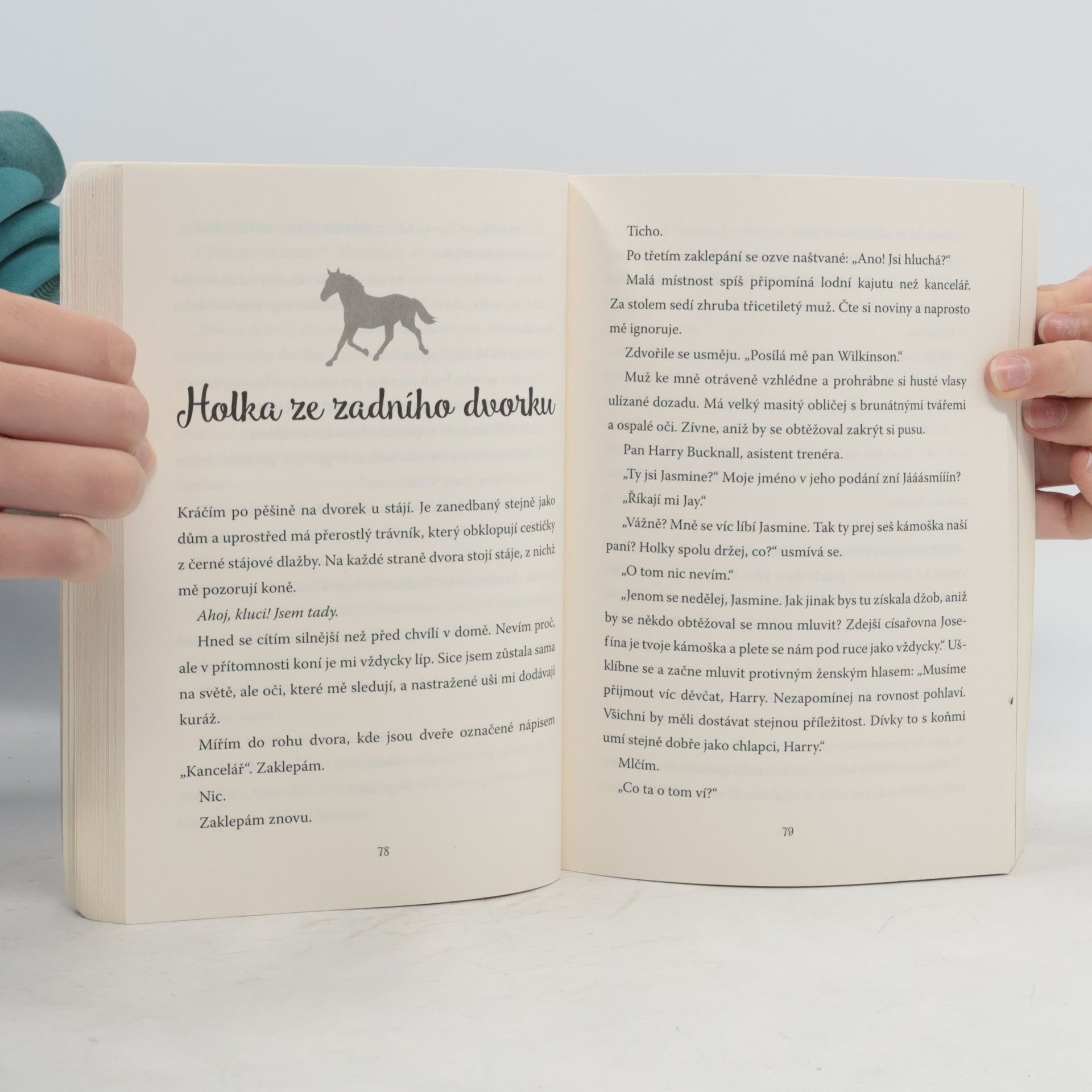 Terence Blacker Dívka v sedle