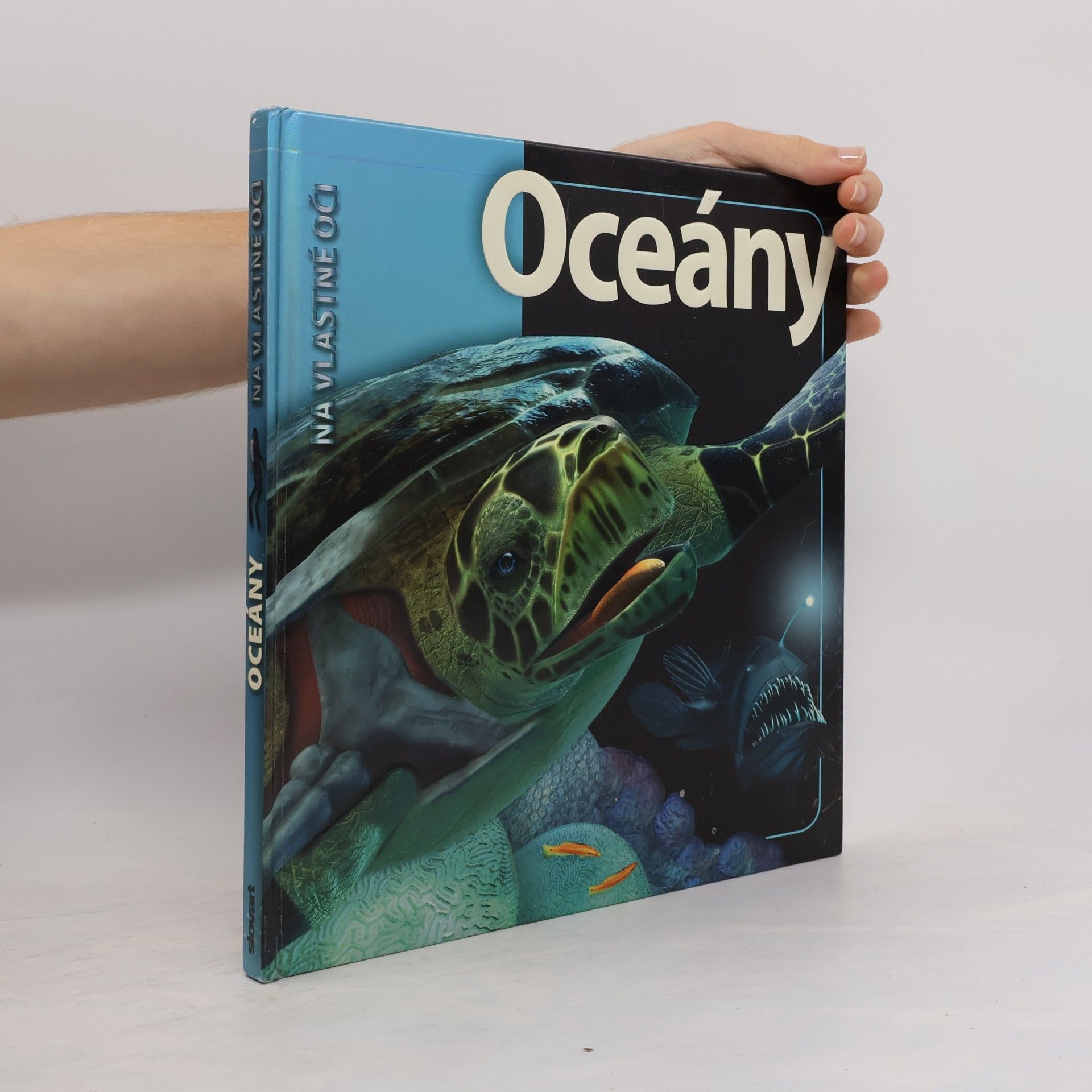 Beverly McMillan Oceány
