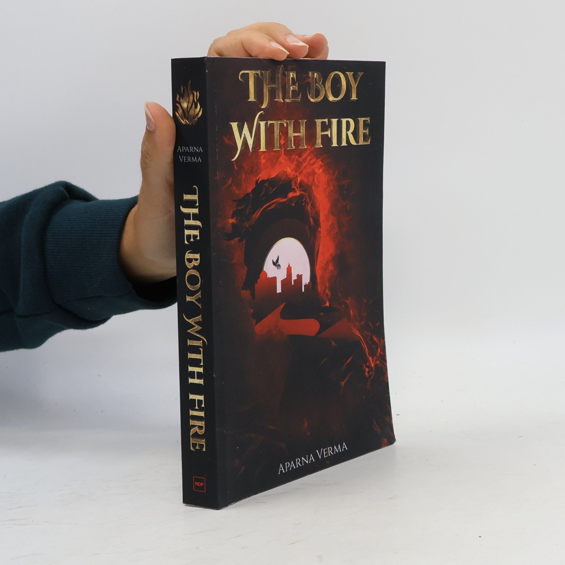 Aparna Verma The Boy with Fire