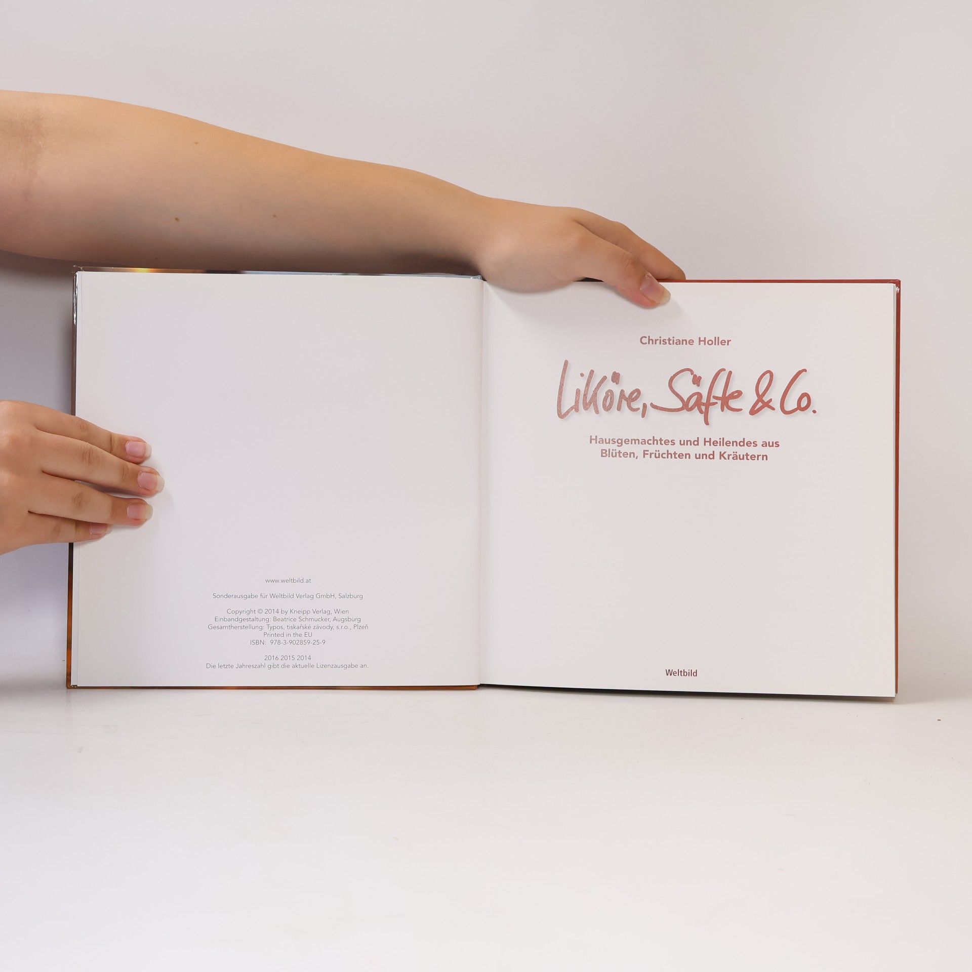 Autorenkollektiv Liköre, Säfte & Co.