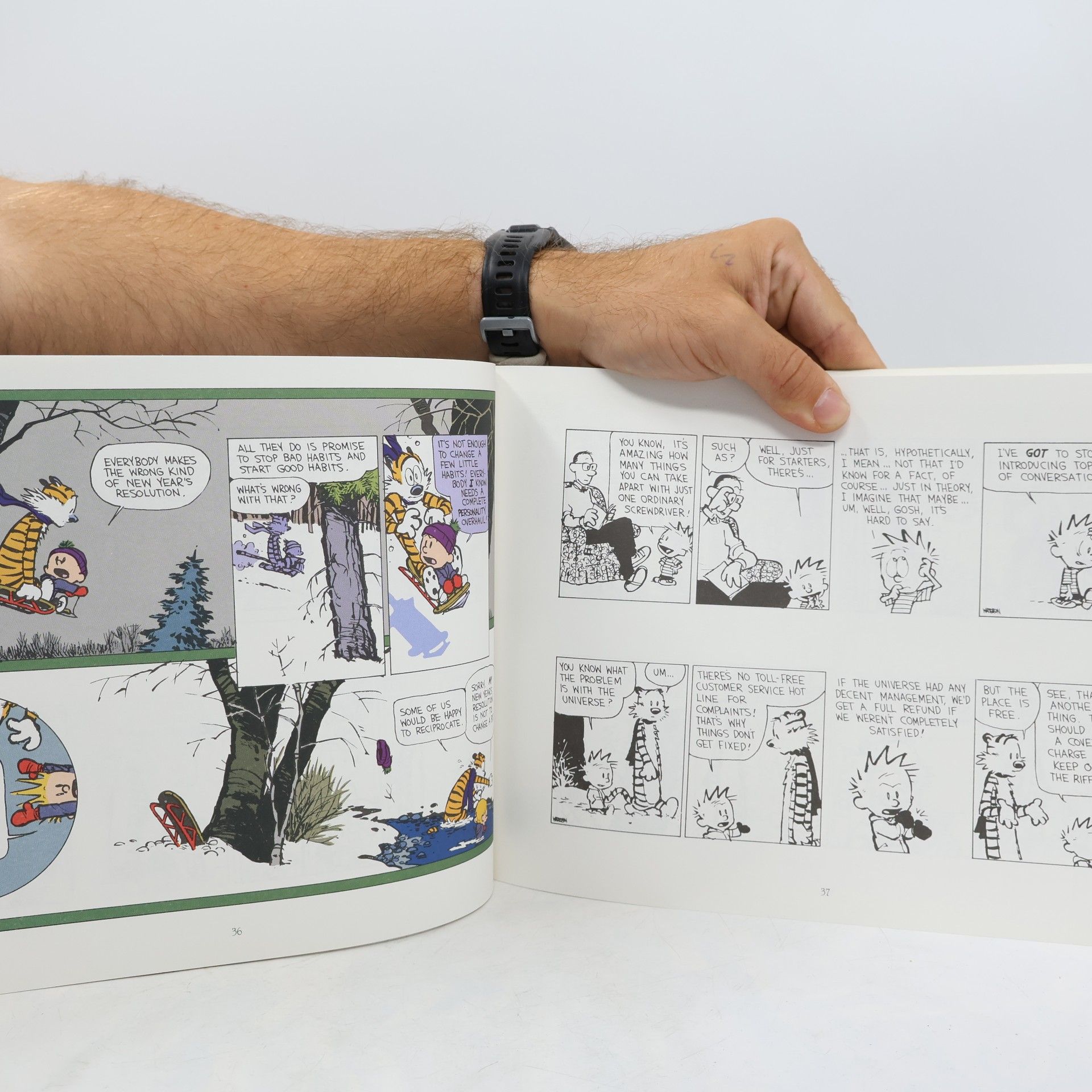 Bill Watterson Homicidal Psycho Jungle Cat
