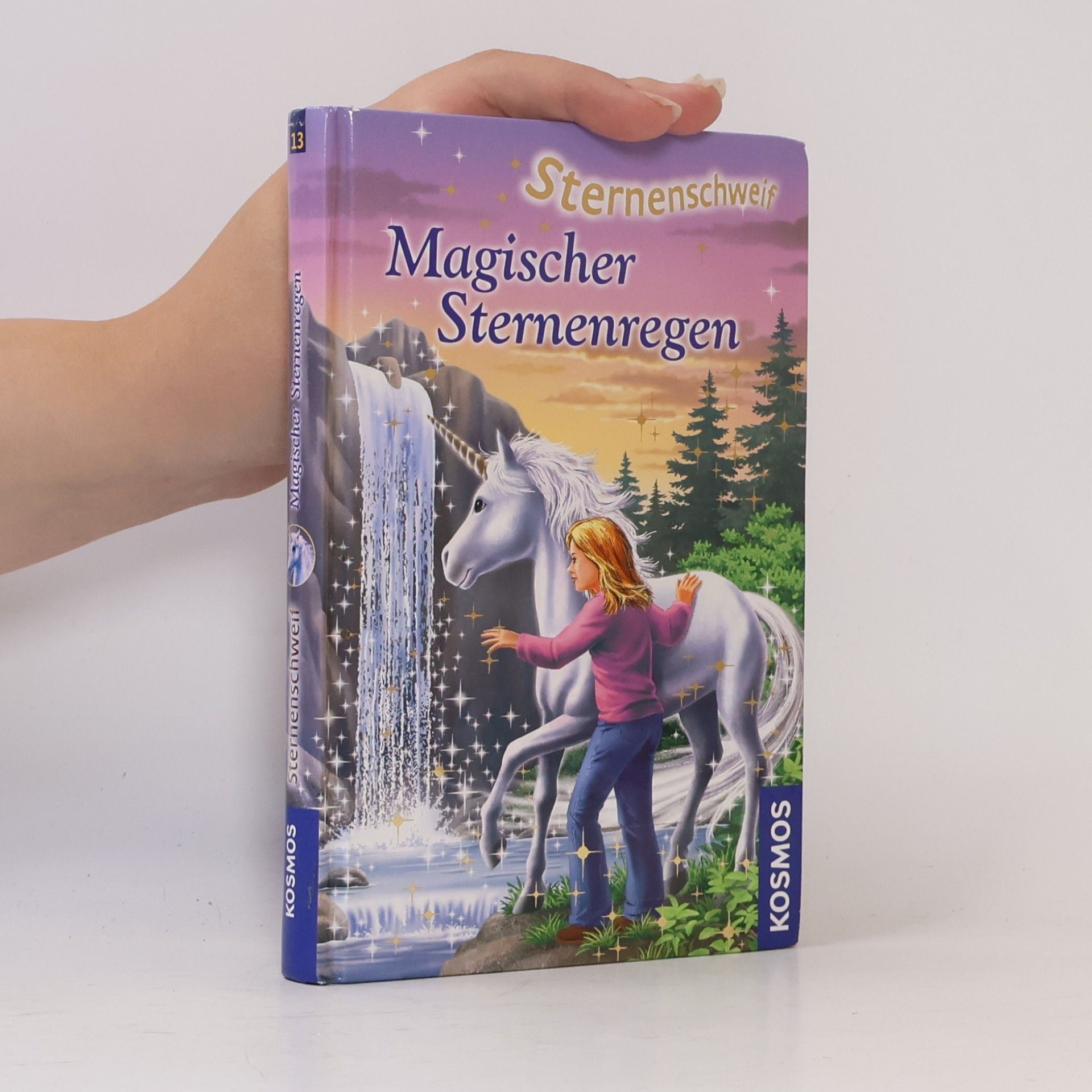 Linda Champan Sternenschweif. Magischer Sternenregen