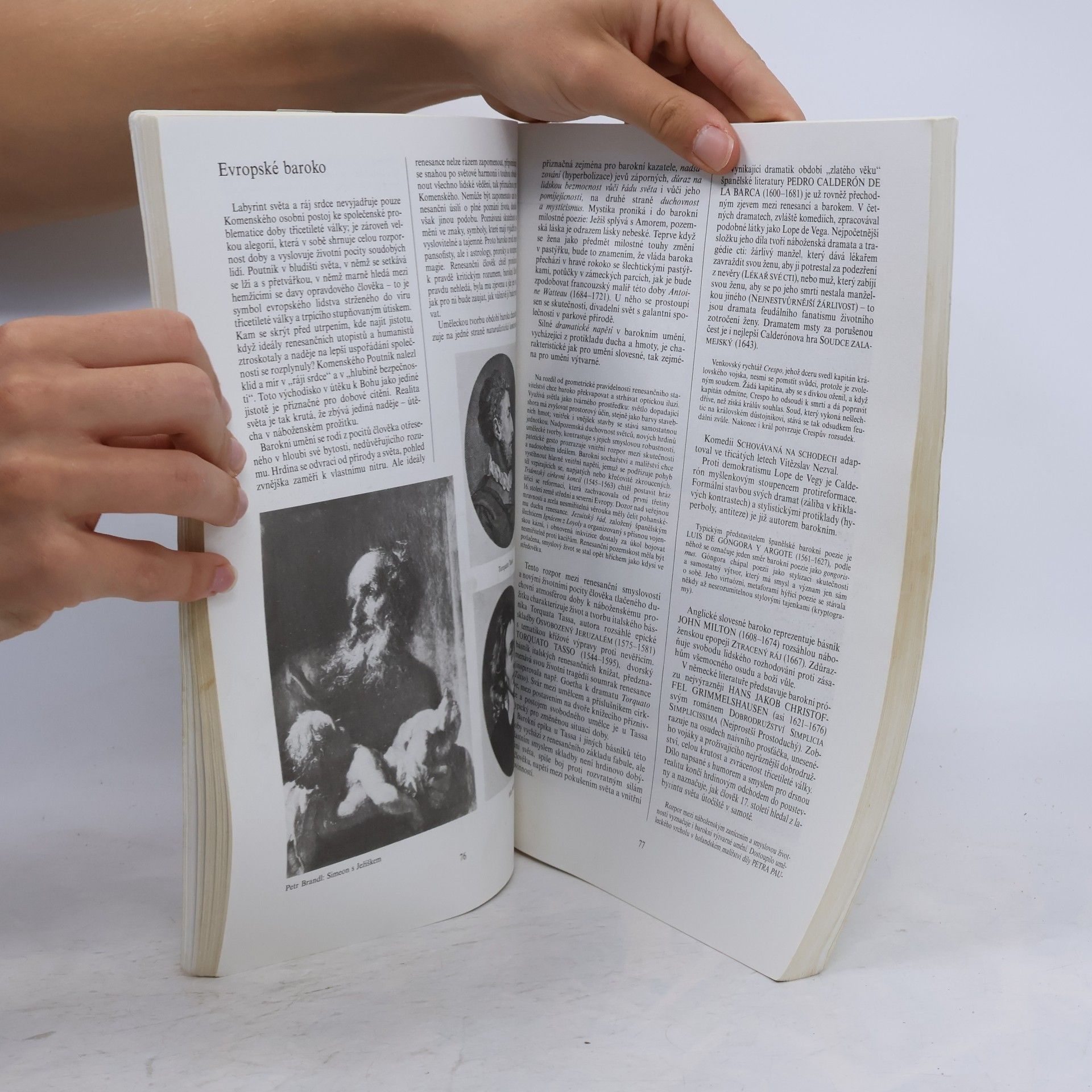 Bohuš Balajka Přehledné dějiny literatury 1