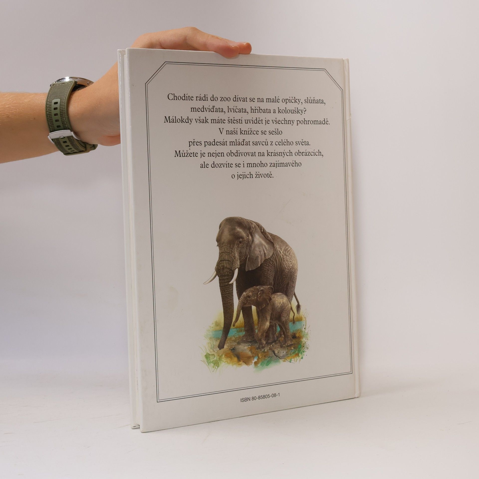 Evžen K°us Mláďata v zoo : nejoblíbenější savci z celého světa v obrazech