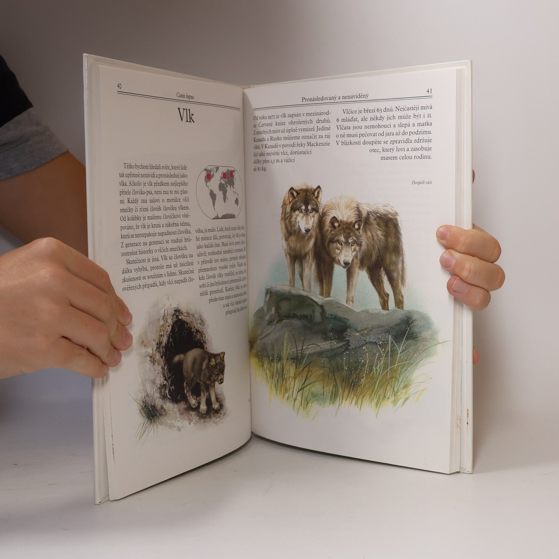 Evžen K°us Mláďata v zoo : nejoblíbenější savci z celého světa v obrazech