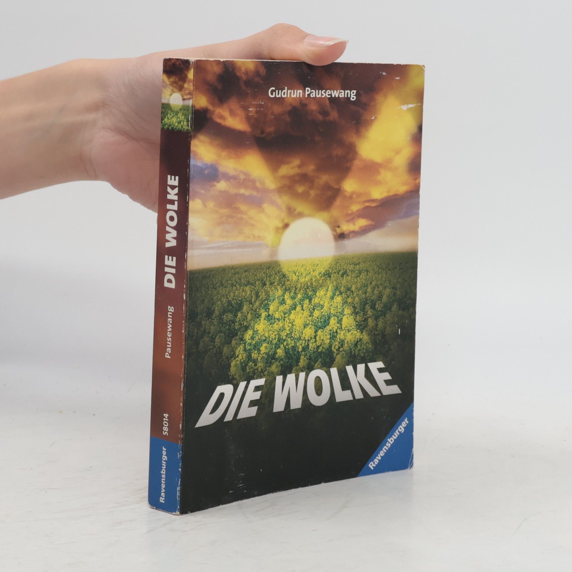 Gudrun Pausewang Die Wolke