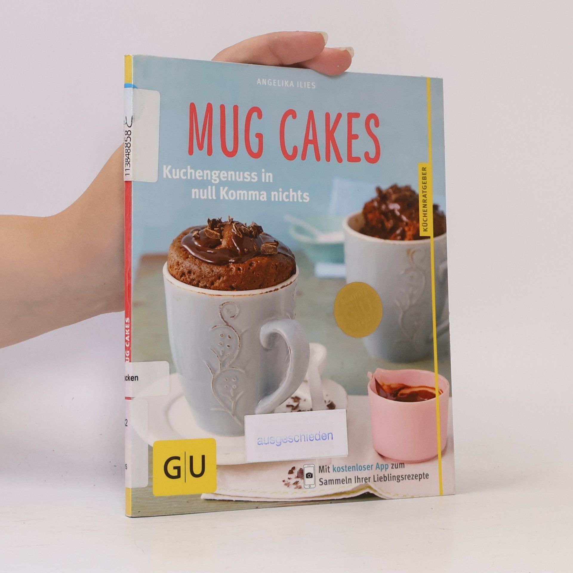 Angelika Ilies Mug Cakes