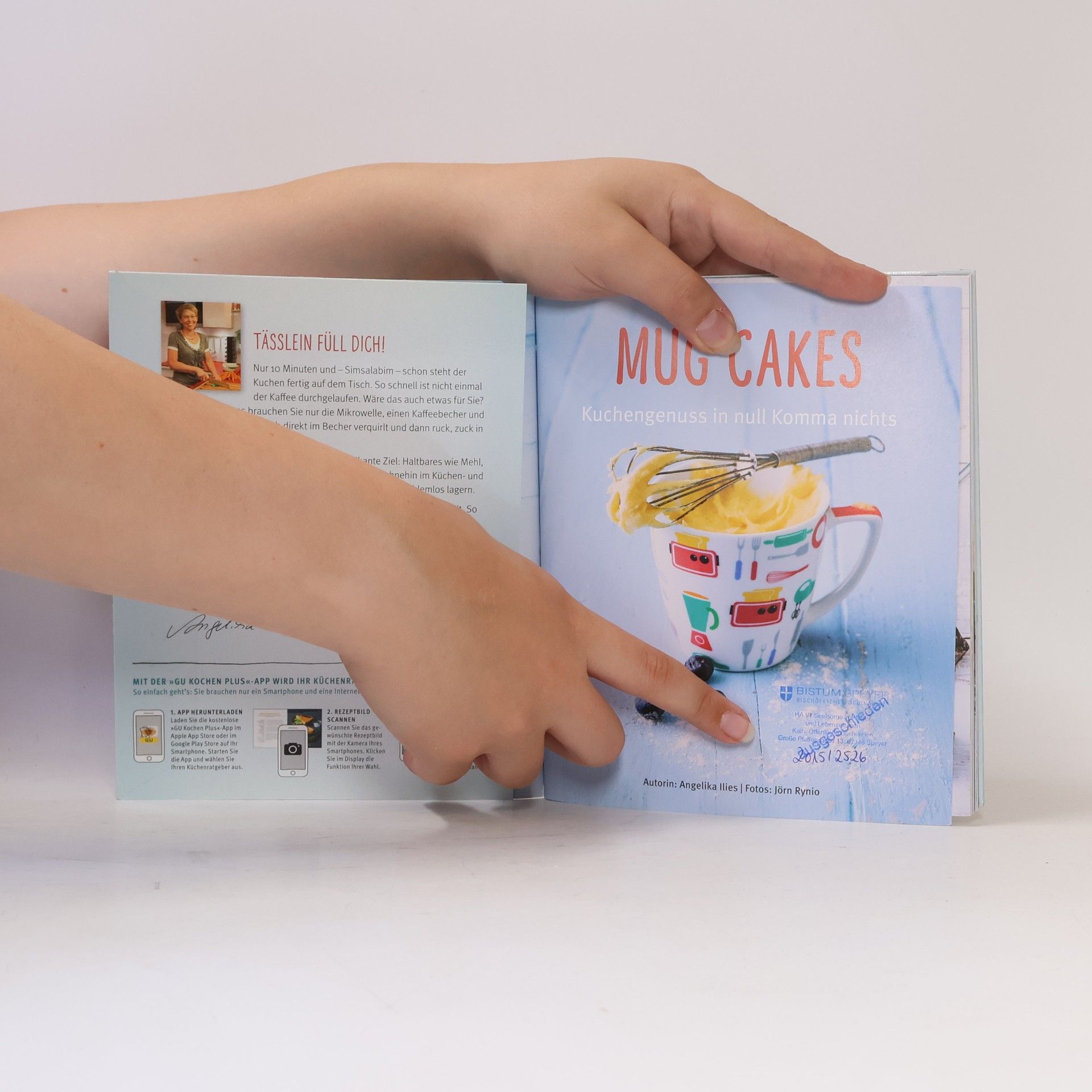 Angelika Ilies Mug Cakes