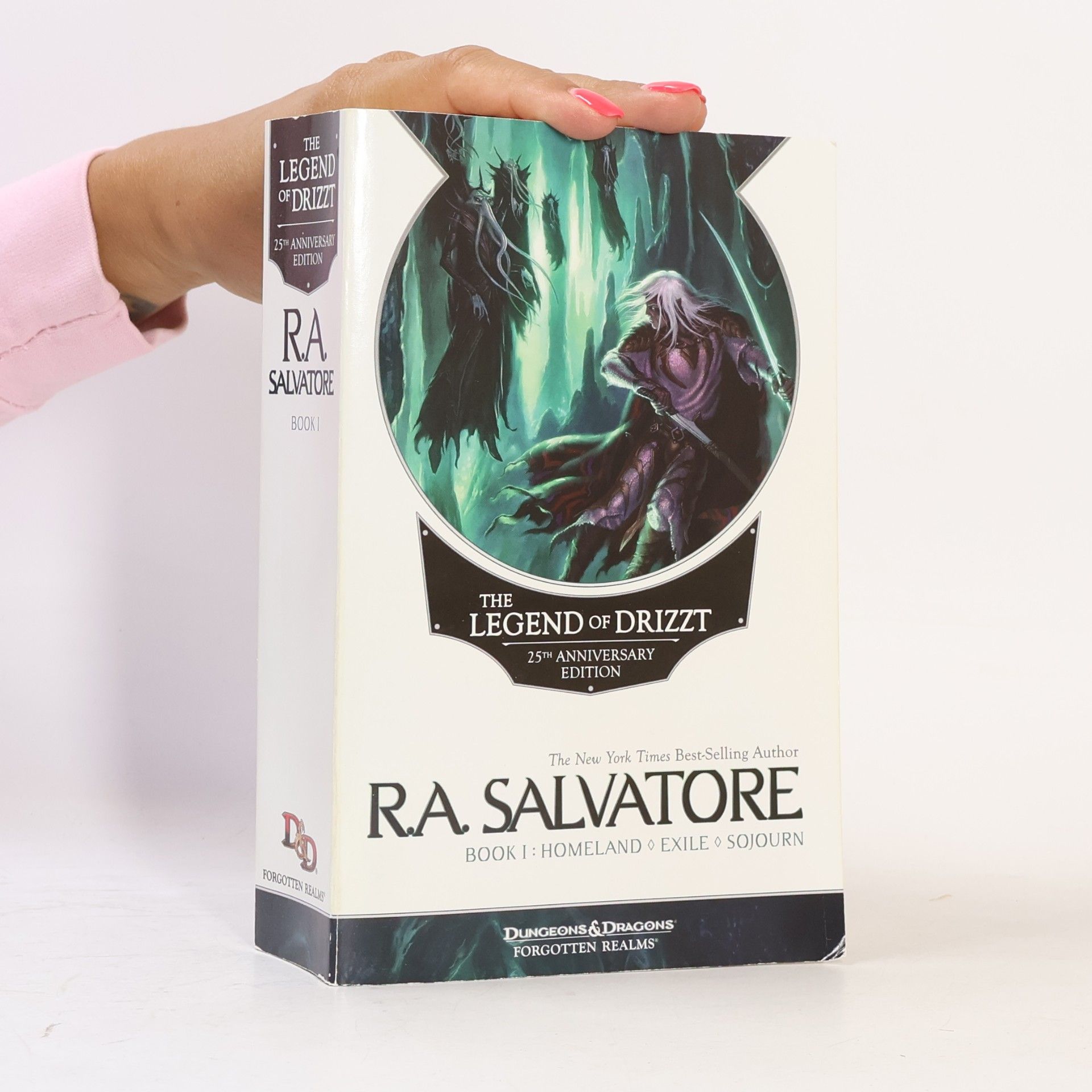 The legend of Drizzt. Book I