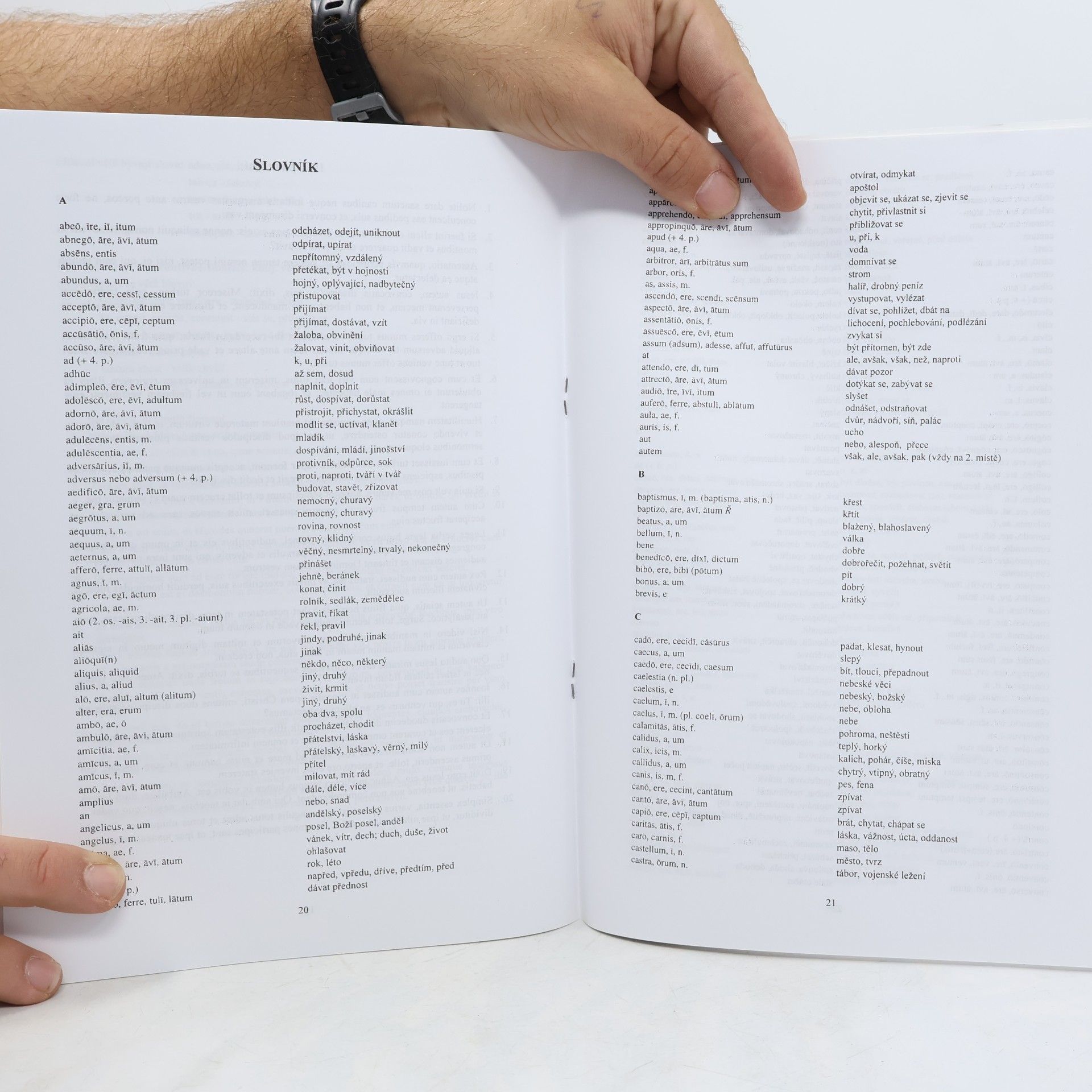 Markéta Koronthályová Latinská syntax