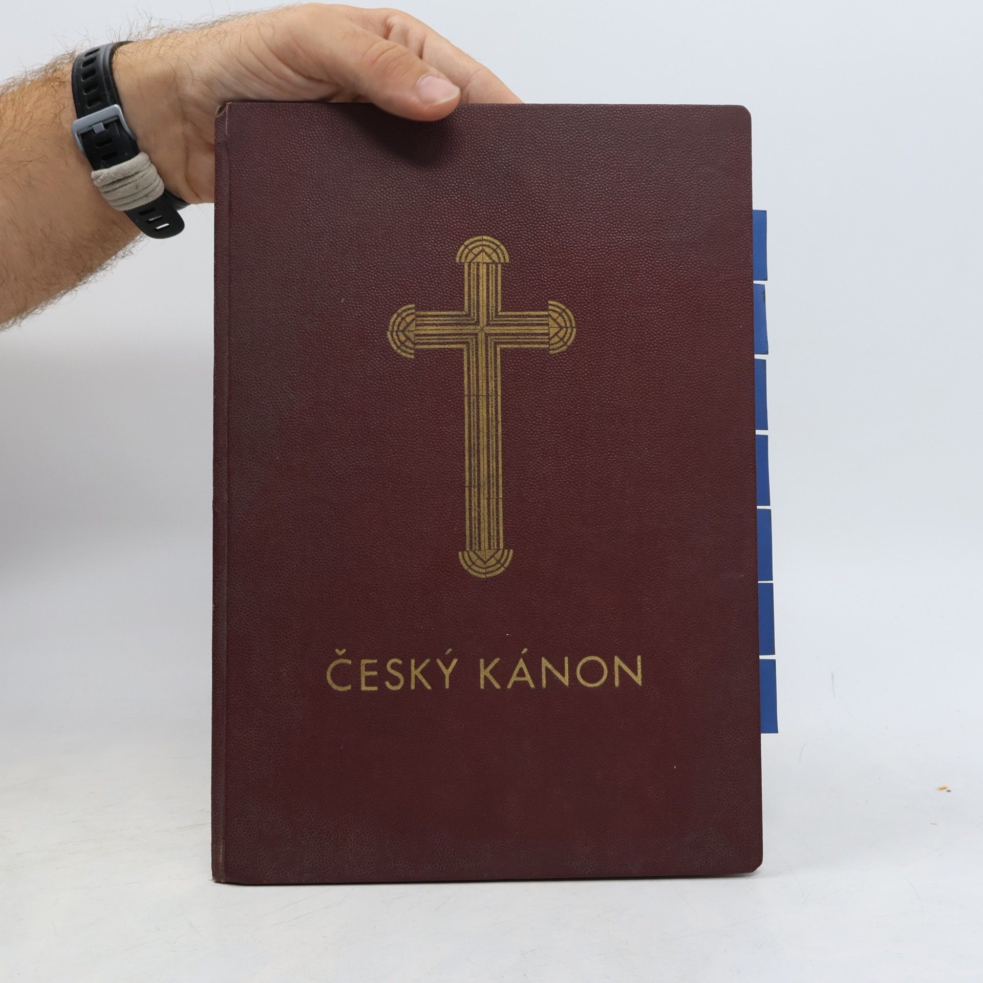 kolektiv Český kánon