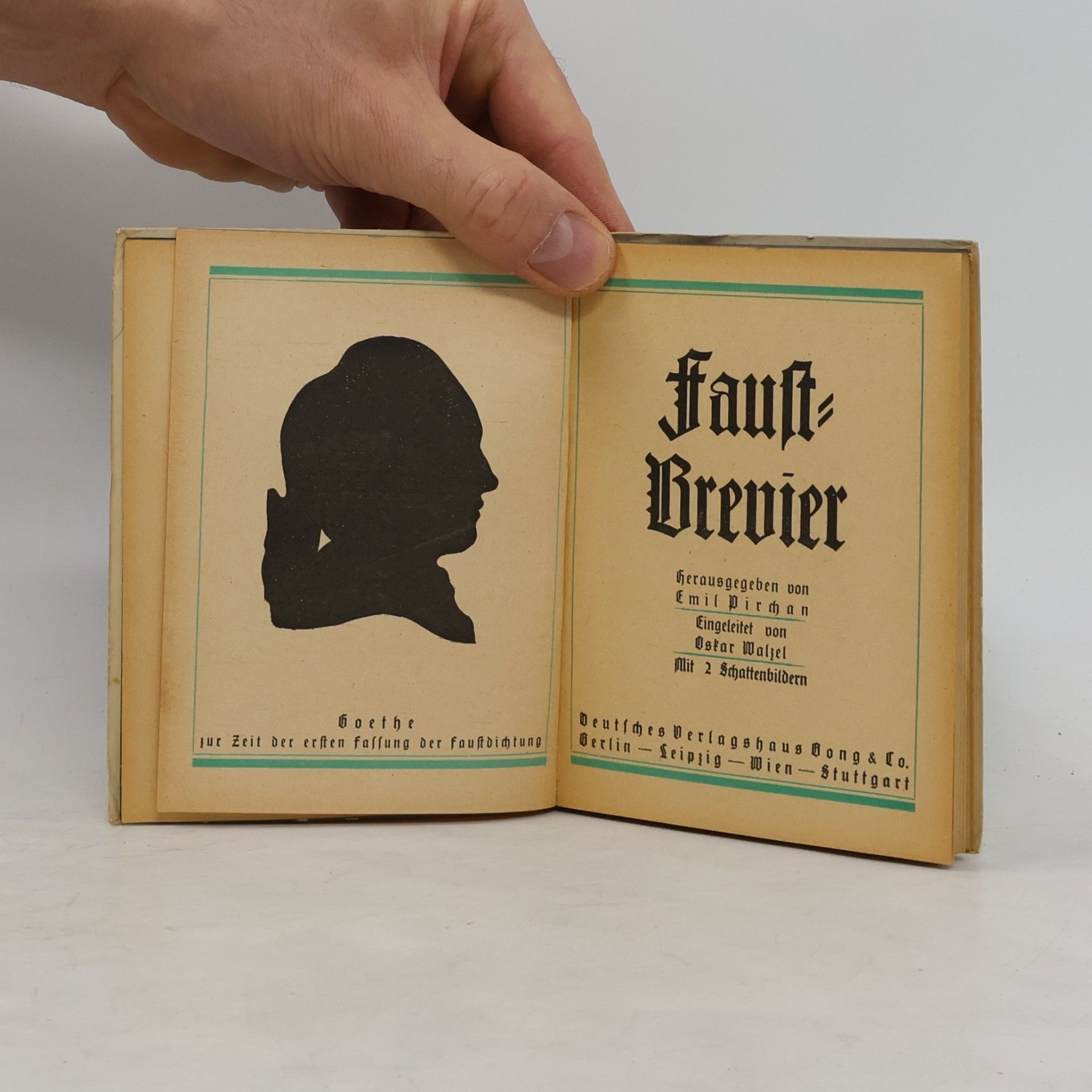 Johann Wolfgang von Goethe Faust-Brevier