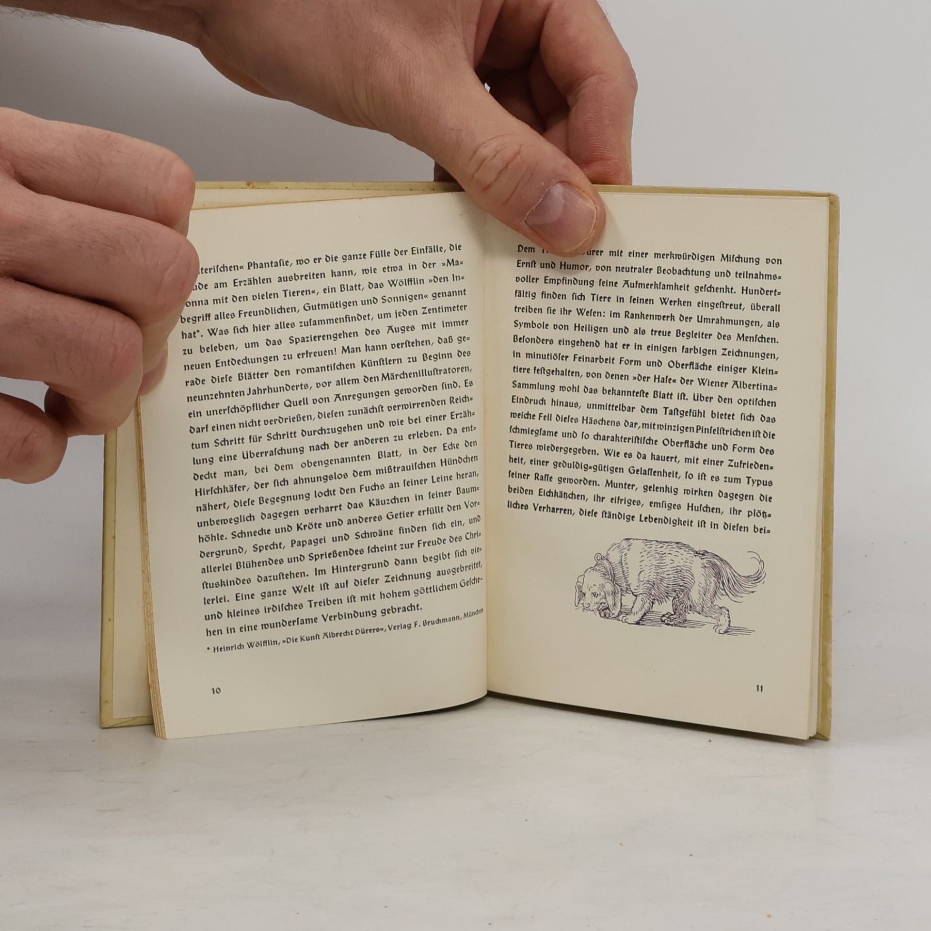 Albrecht Dürer Buntes Dürerbüchlein