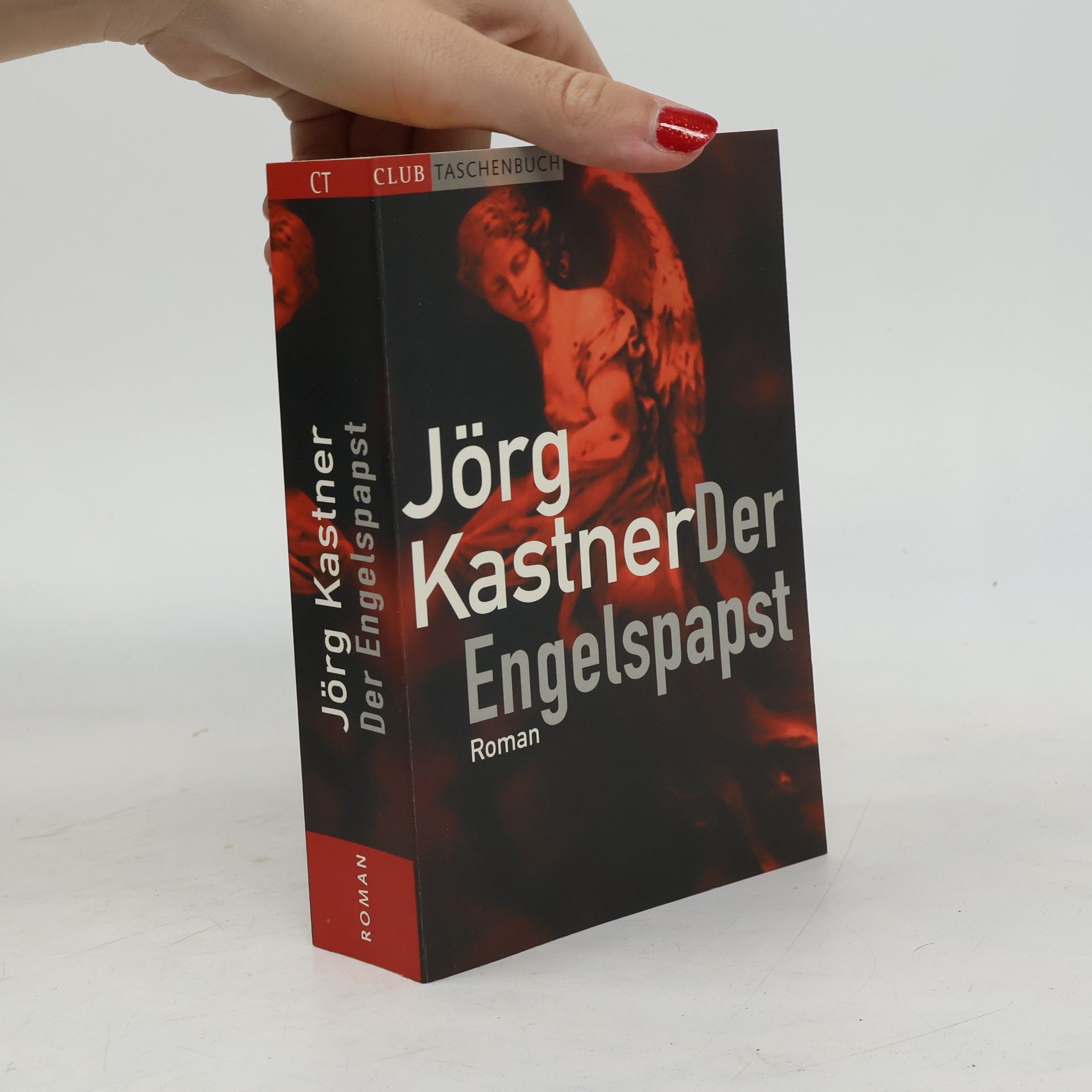 Joerg Kastner Der Engelspapst