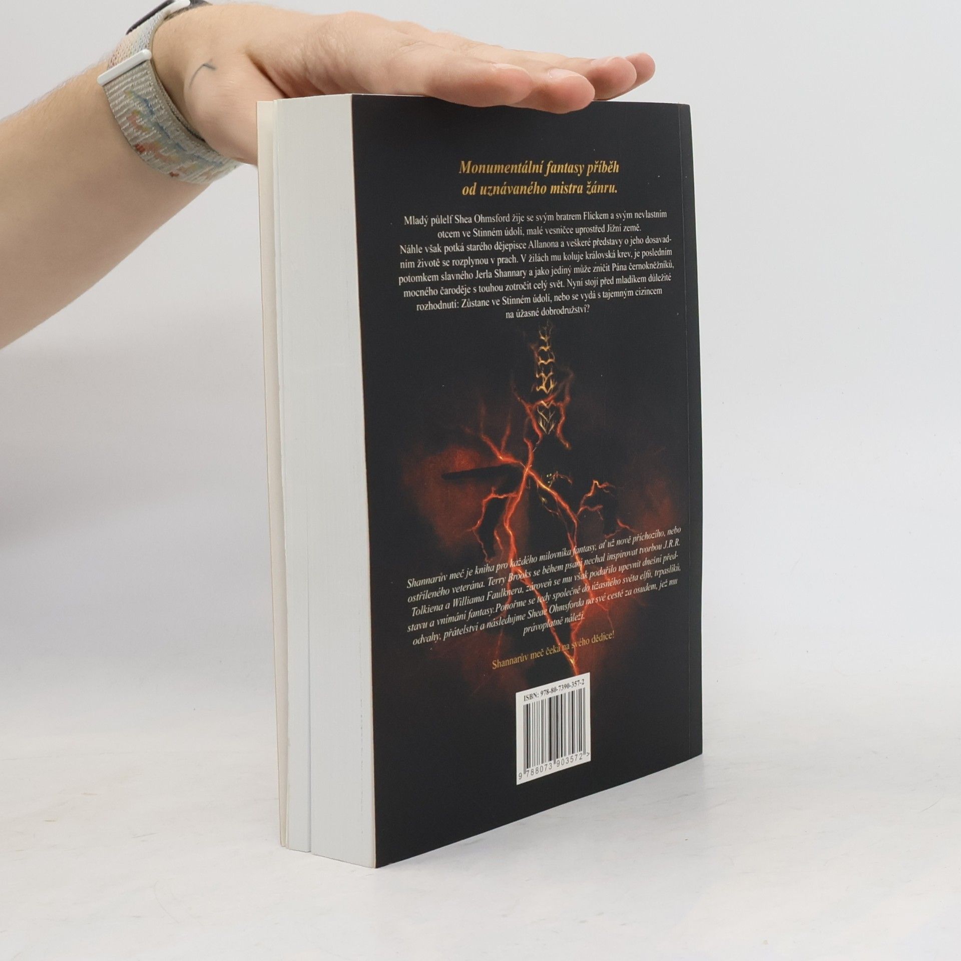Terry Brooks Shannarův meč
