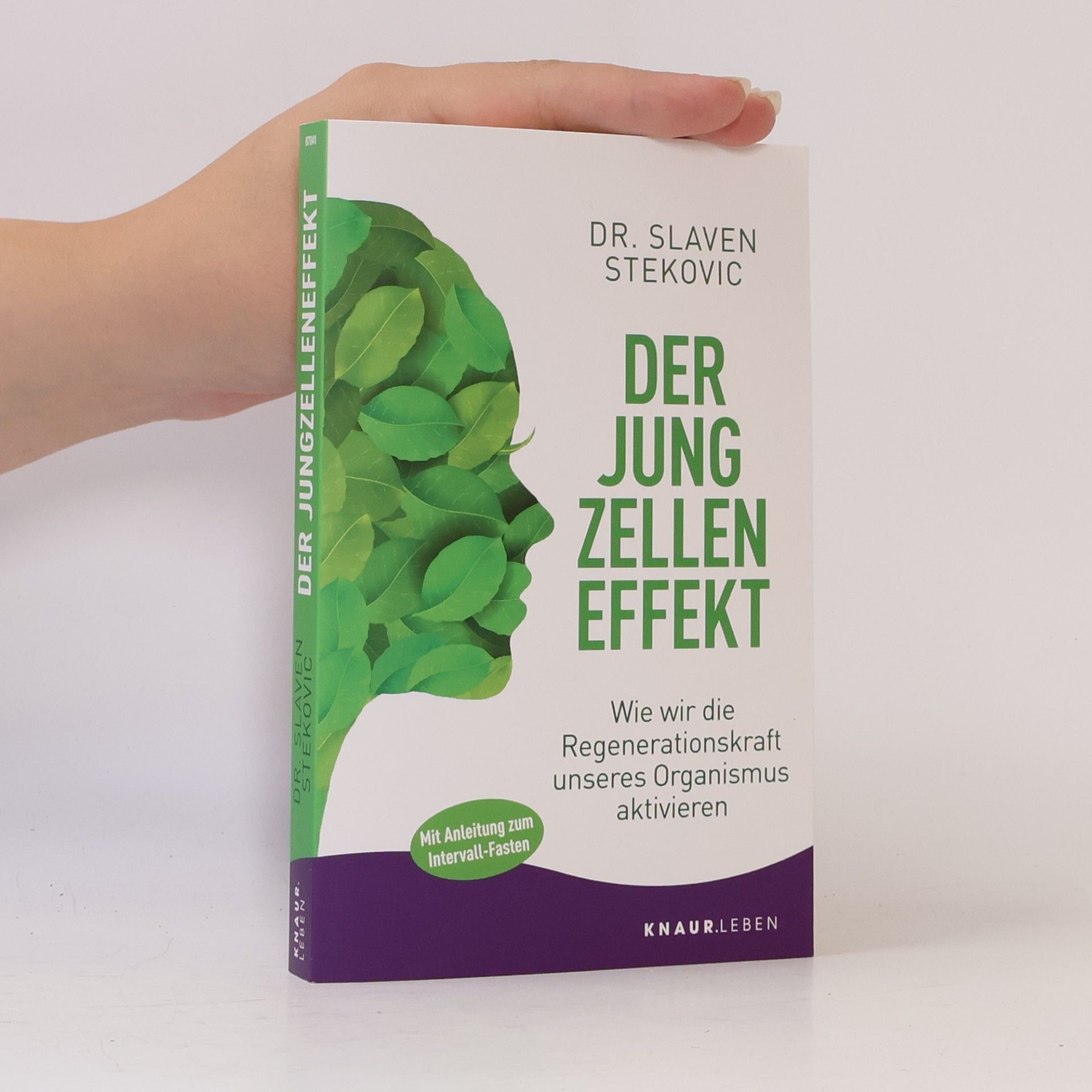 Slaven Stekovic Der Jungzelleneffekt