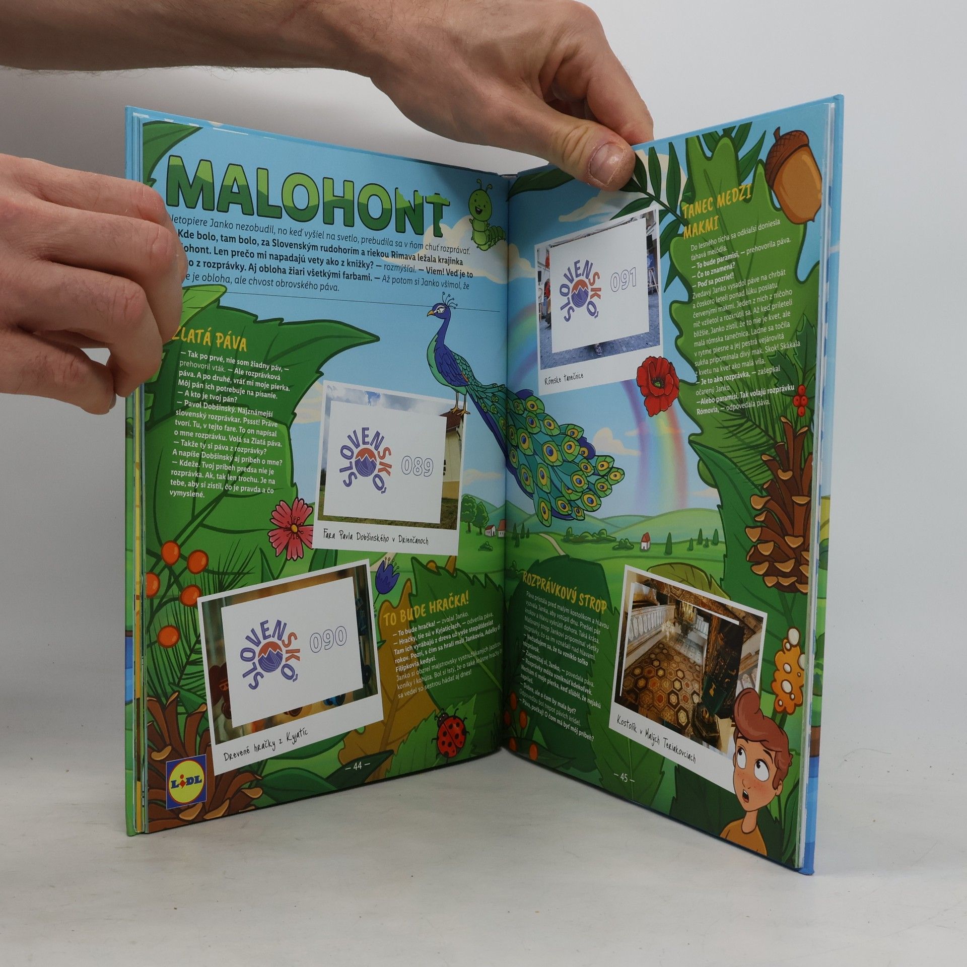 Kolektív autorov Slovenskô ako maľované