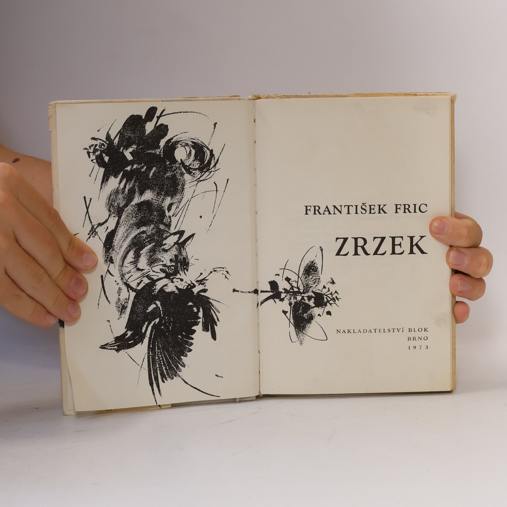 František Fric Zrzek