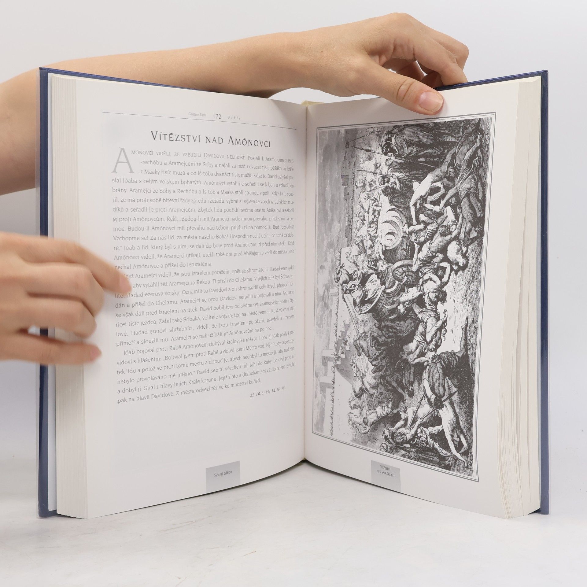 Gustave Doré Bible