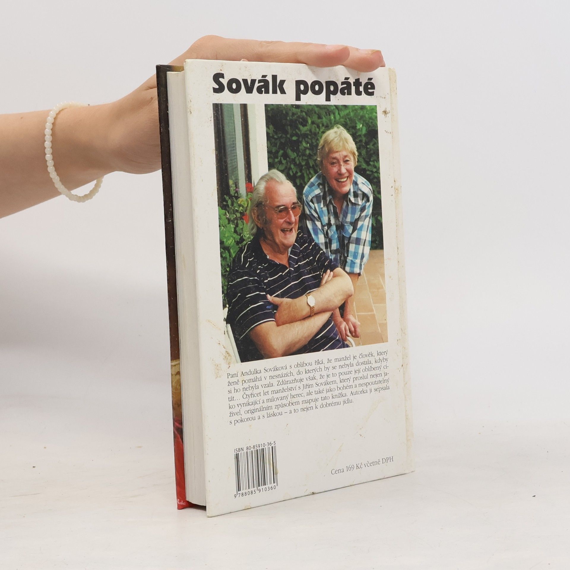 Anna Sováková Sovák popáté. Život se Sovákem, aneb, Uragán