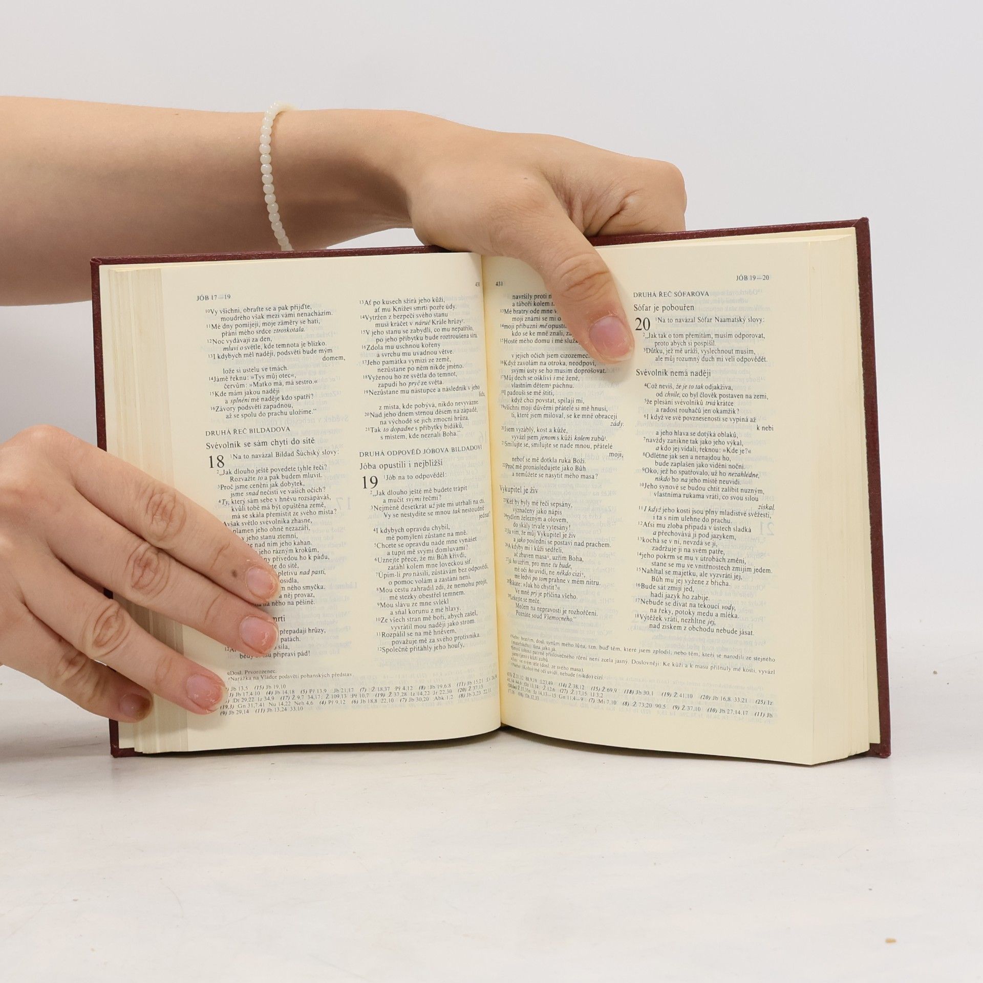 Autores varios Bible. Písmo svaté Starého i Nového zákona. Ekumenický překlad