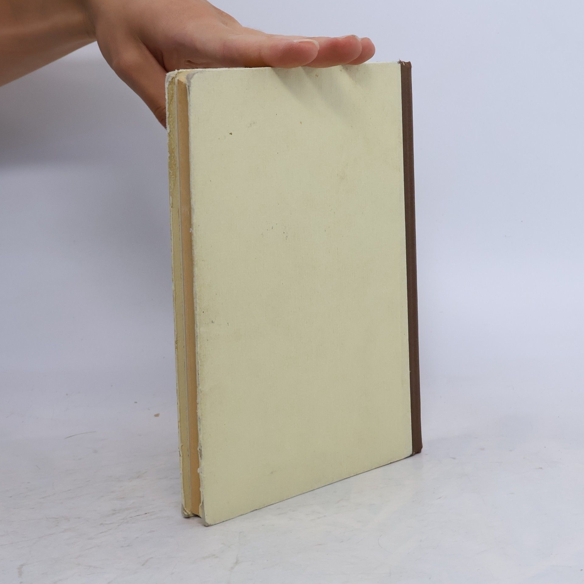 Autorenkollektiv Biblische Geschichte und Geschichte der katholischen Kirche