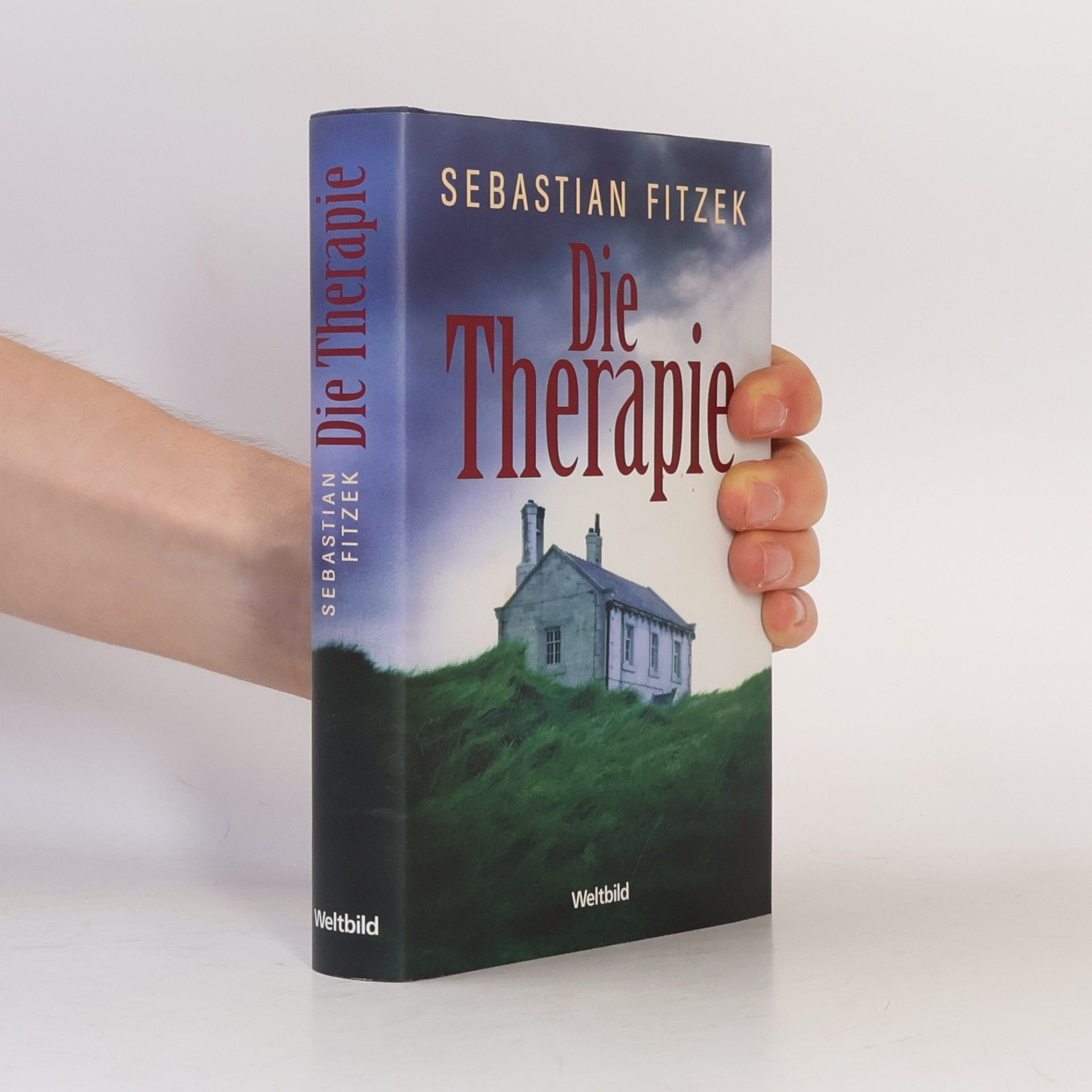 Sebastian Fitzek Die Therapie