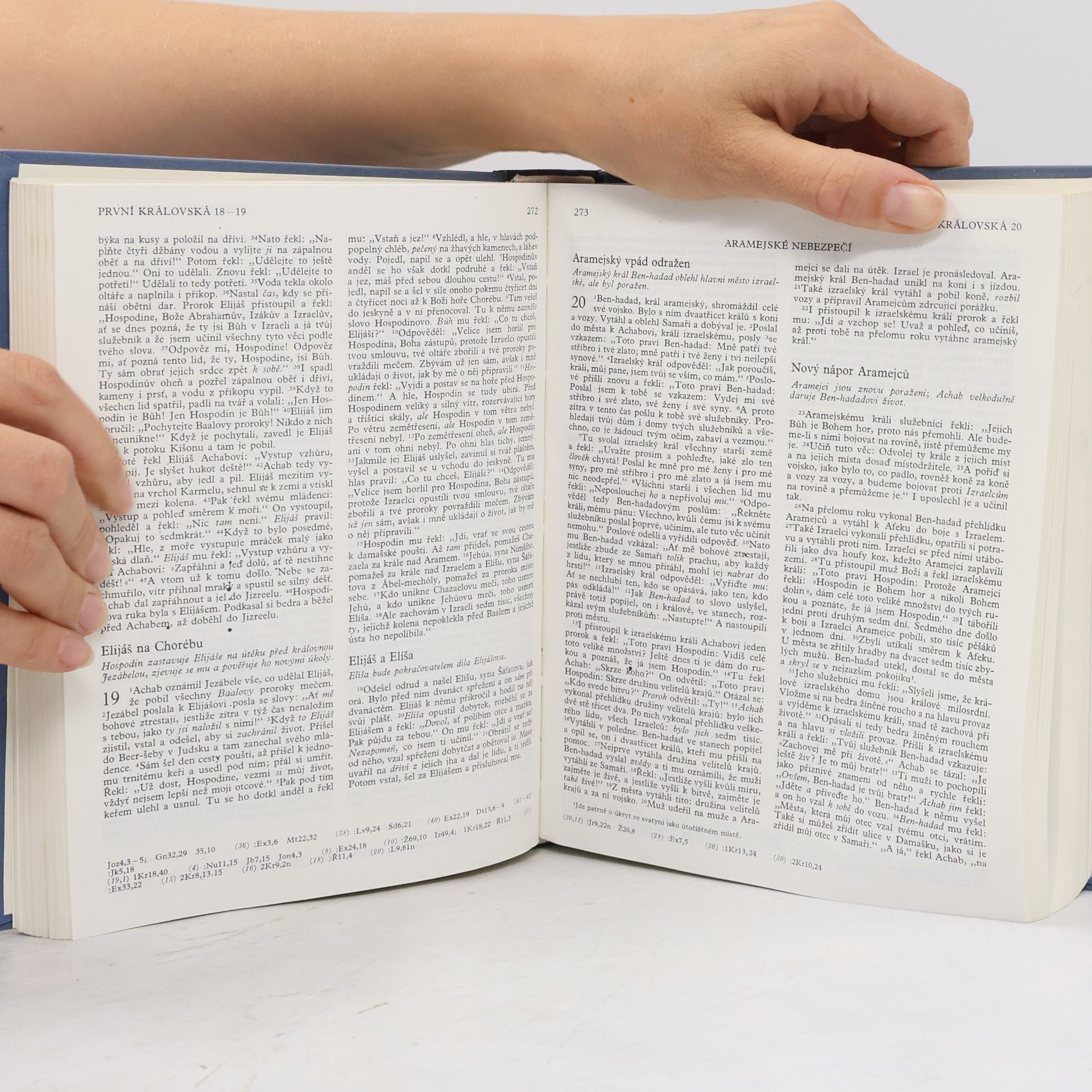 Autores varios Bible. Písmo svaté Starého a Nového zákona