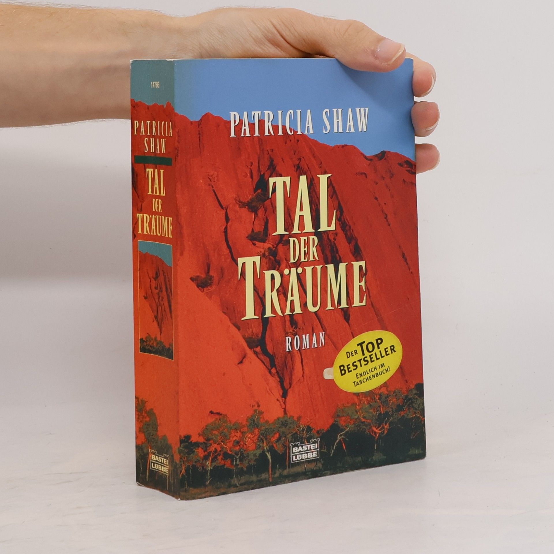 Patricia Shaw Tal der Träume