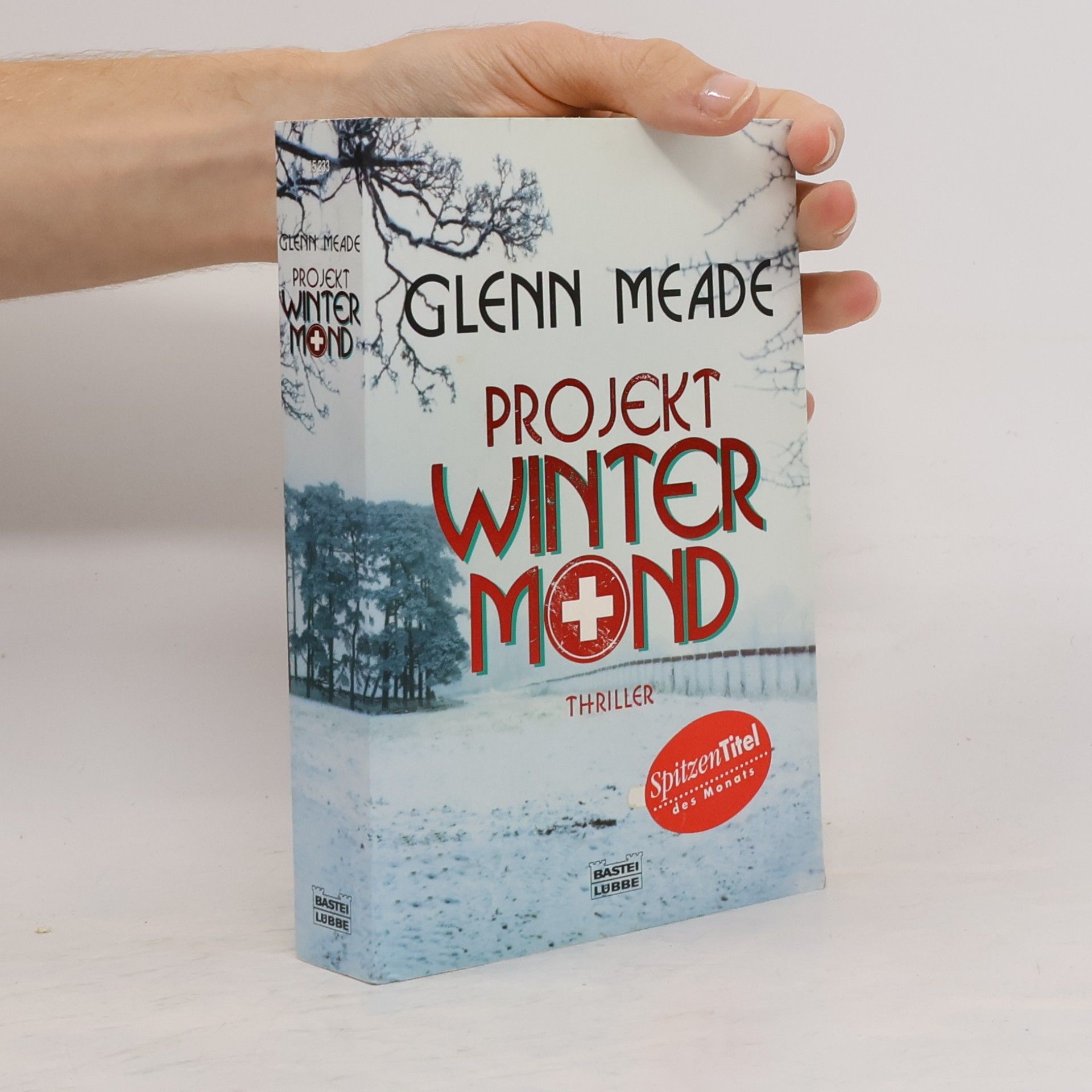 Glenn Meade Projekt winter mind