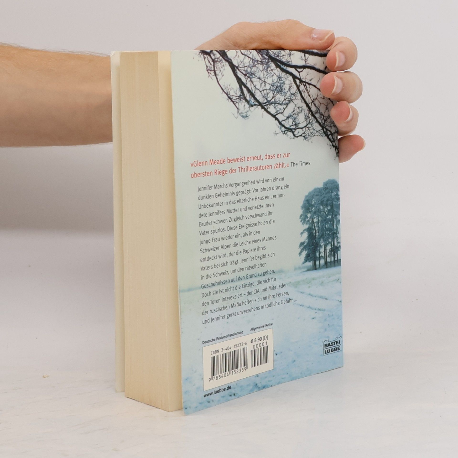 Glenn Meade Projekt winter mind