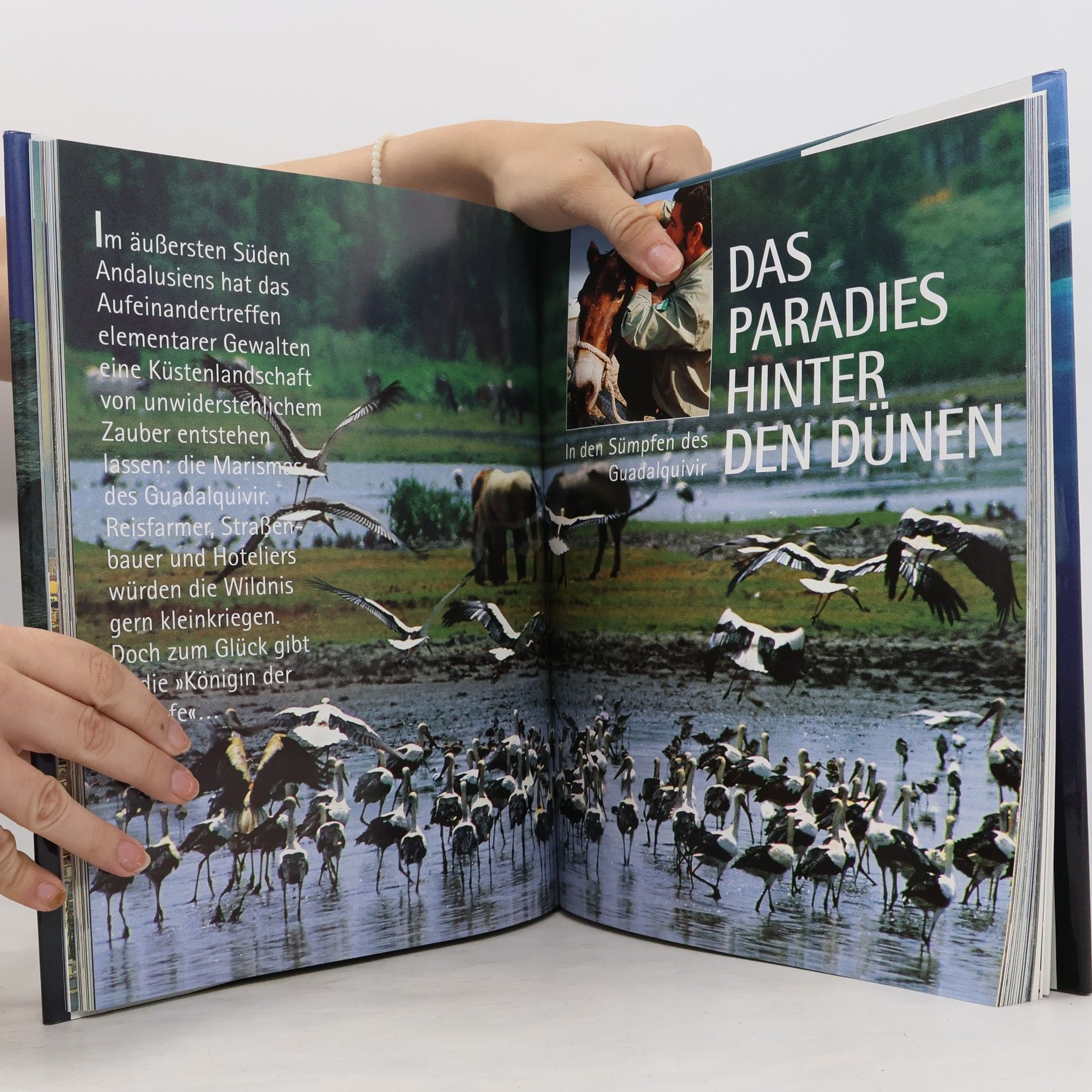 Collectif d'auteurs Zu neuen Ufern. Küsten - Schicksalszonen für Mensch und Natur