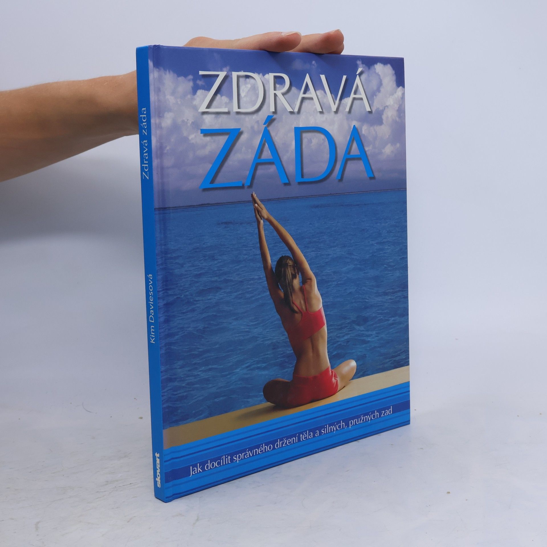 Kim Davies Zdravá záda