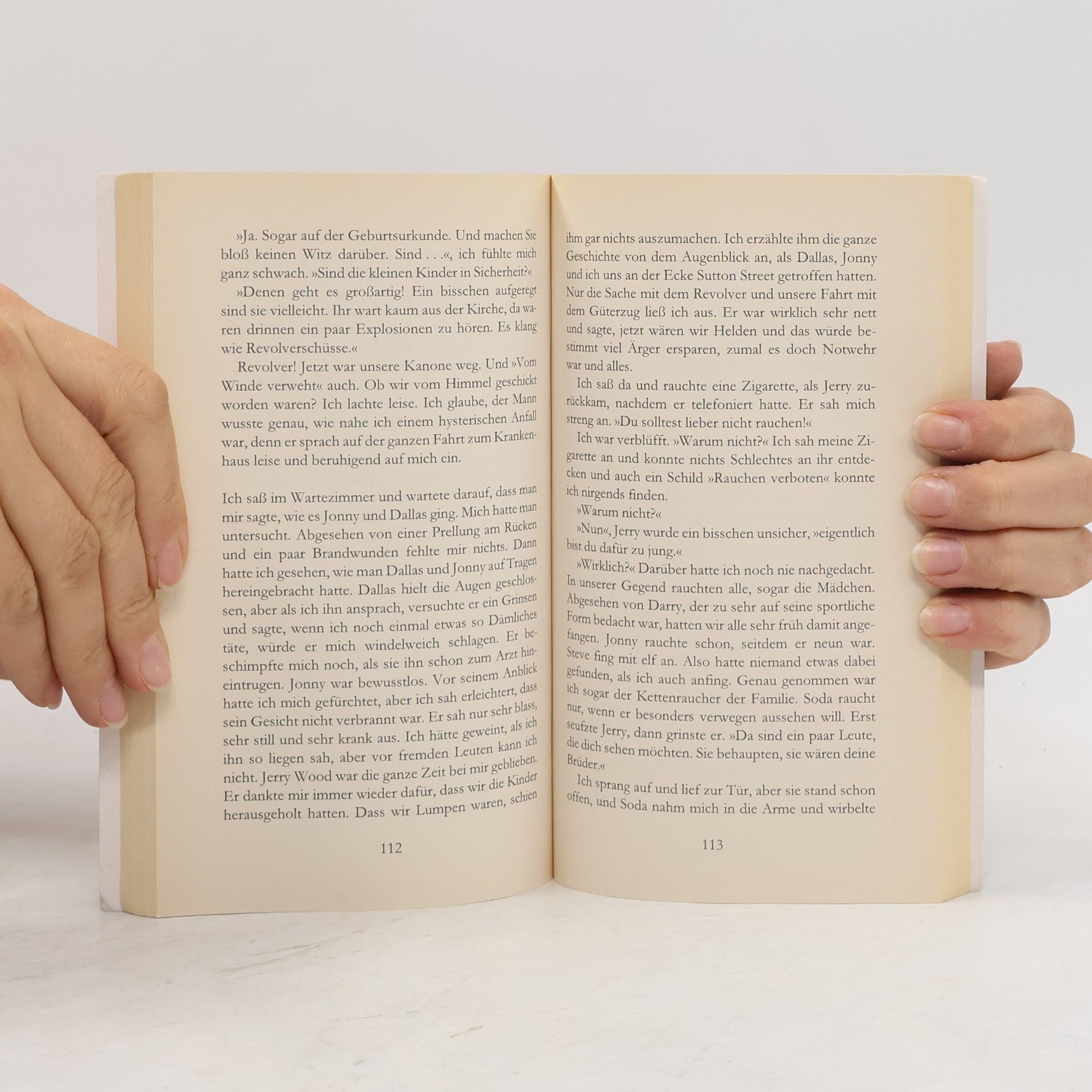 Susan E. Hinton Die Outsider
