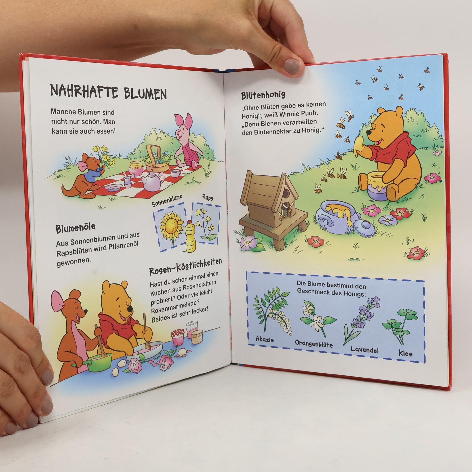 Autorenkollektiv Winnie Puuh. Entdecke Blumen