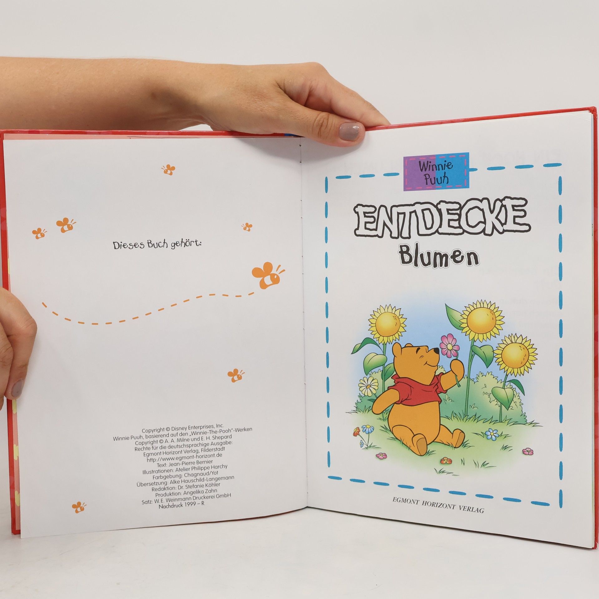 Autorenkollektiv Winnie Puuh. Entdecke Blumen