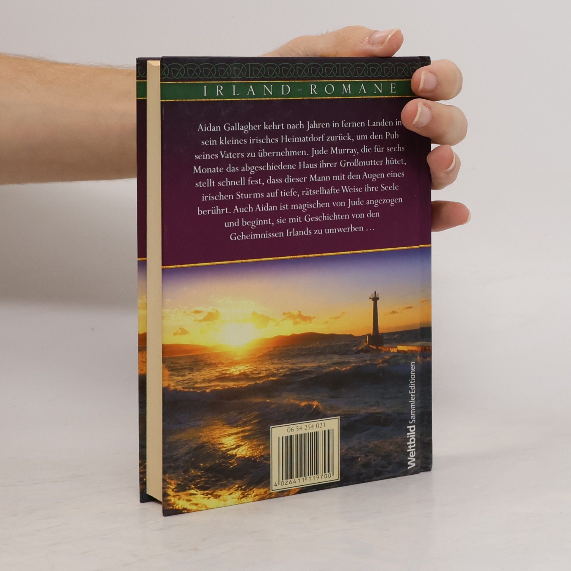 Nora Roberts Insel des Sturms