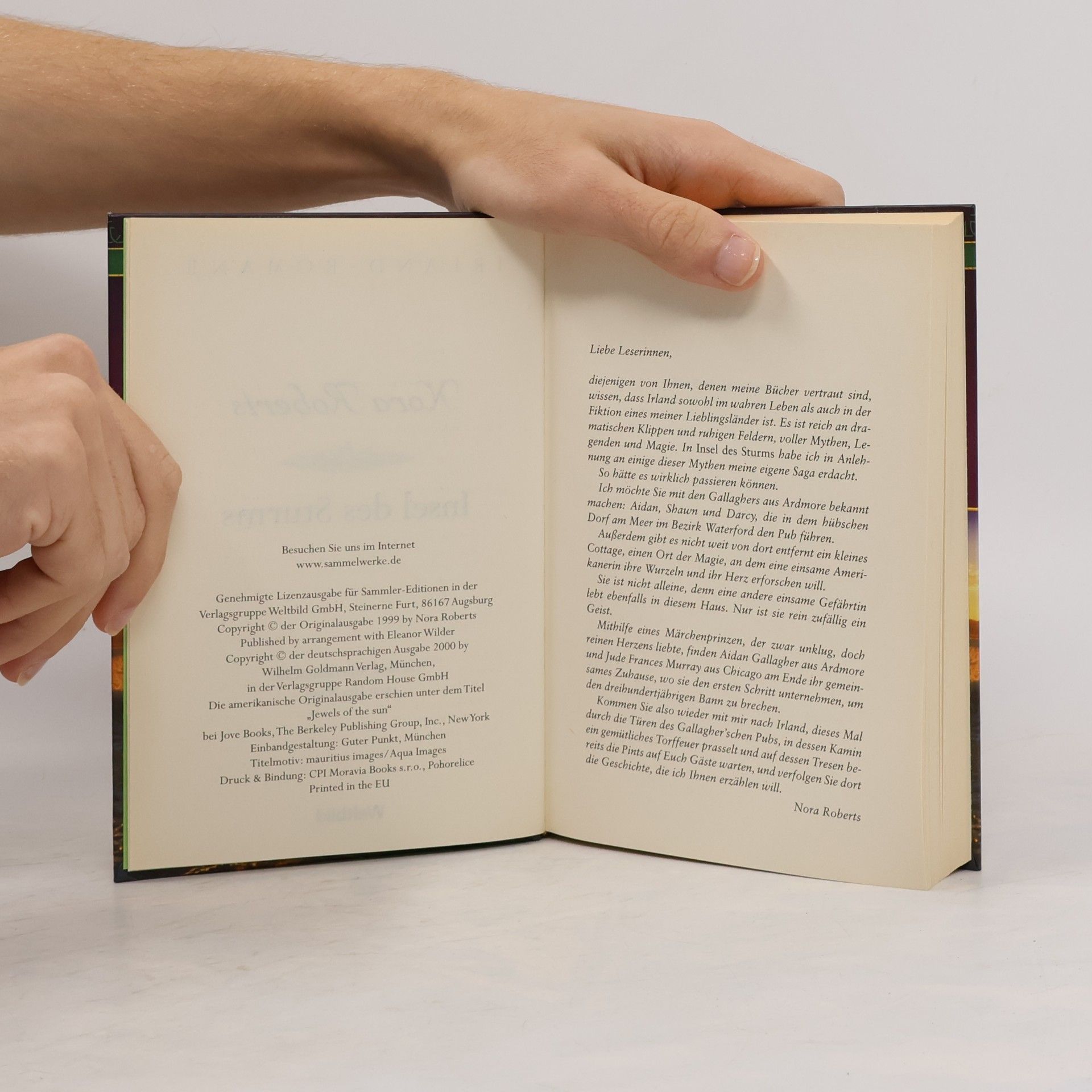 Nora Roberts Insel des Sturms