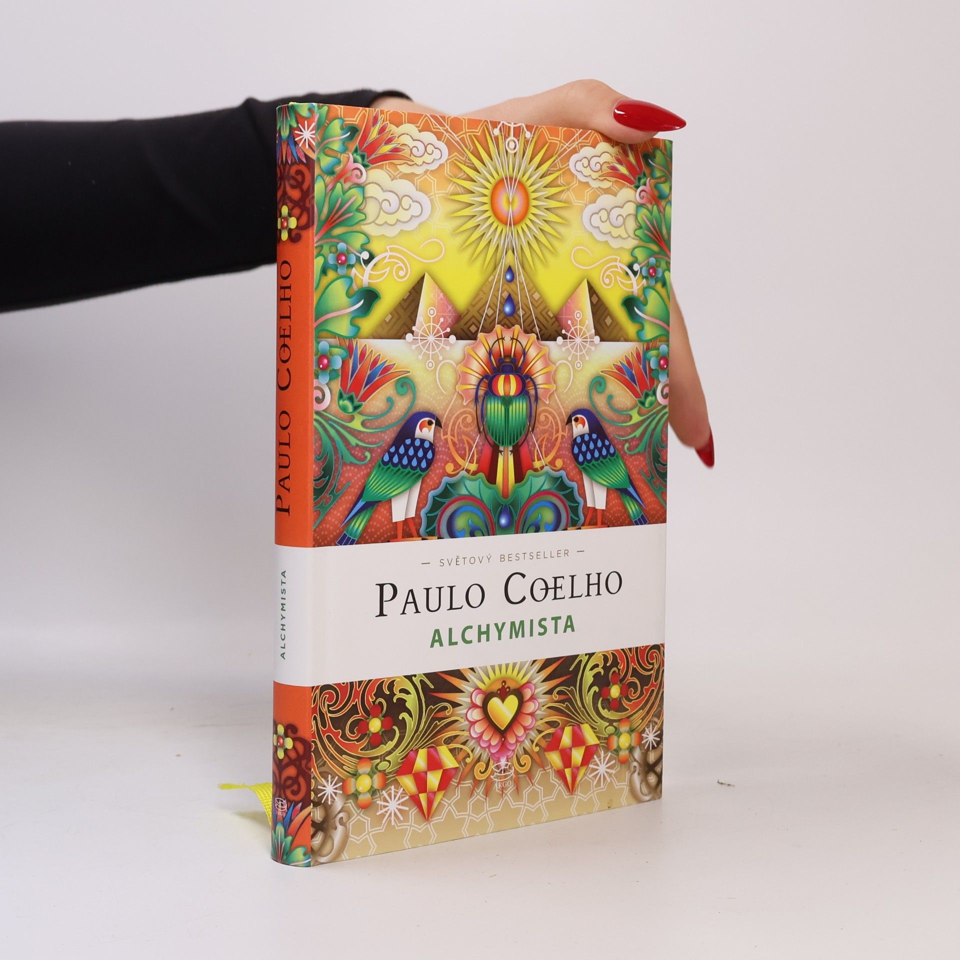 Paulo Coelho Alchymista