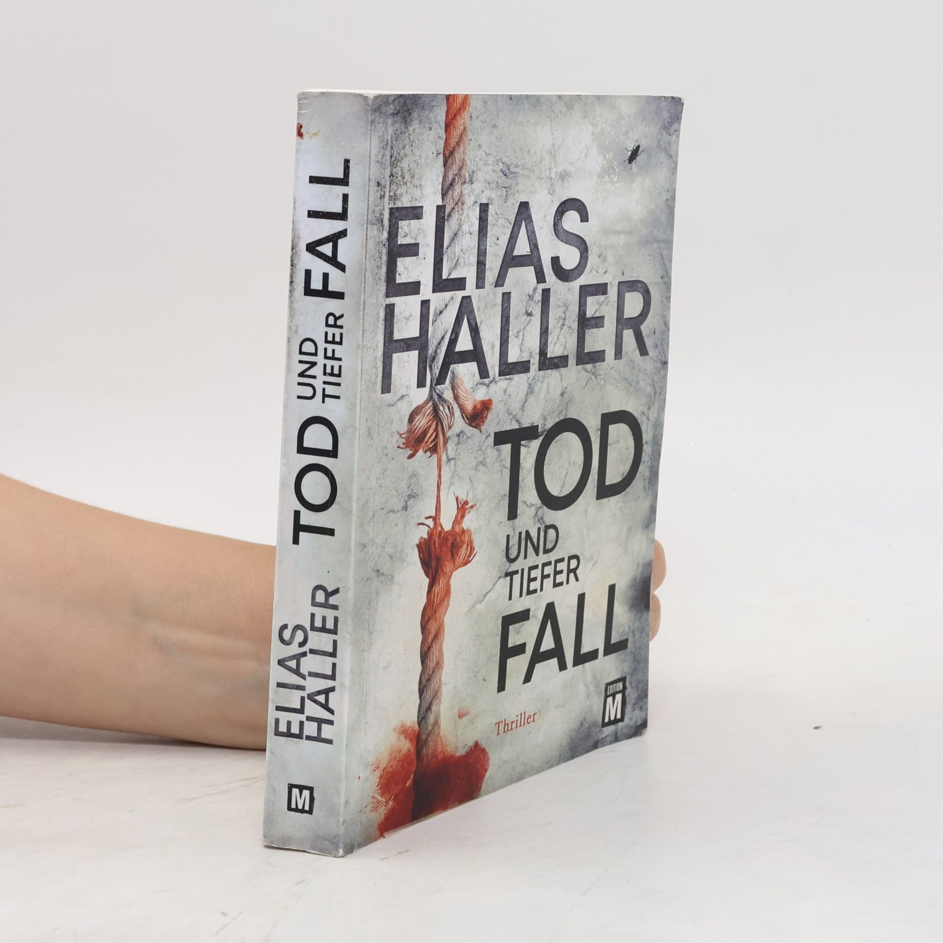 Elias Haller Tod und tiefer Fall