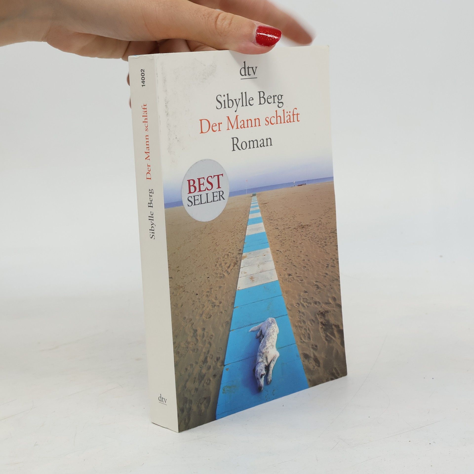 Sibylle Berg Der Mann schläft