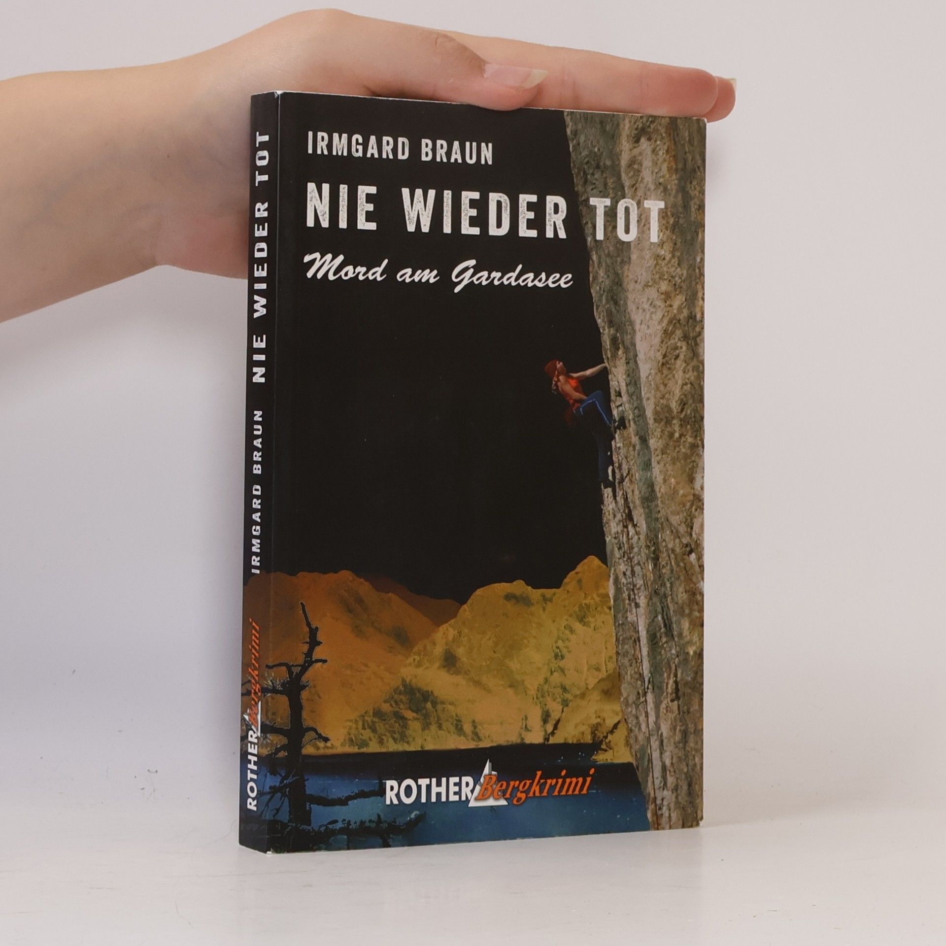 Irmgard Braun Rother Bergkrimi: Nie wieder tot
