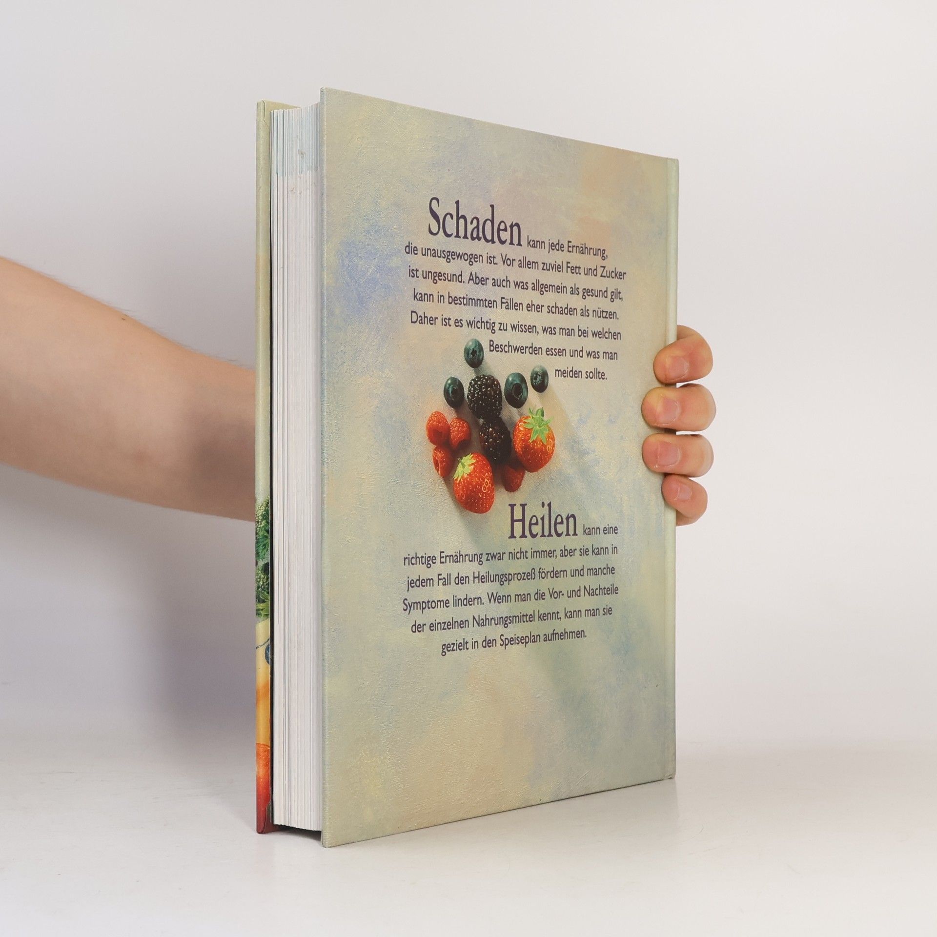 Kolektiv autorů Nahrung die Schadet. Nahrung die Heilt