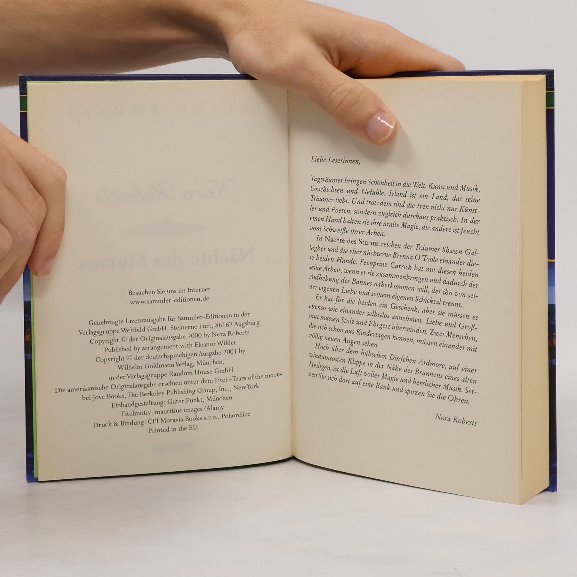 Nora Roberts Nächte des Sturms