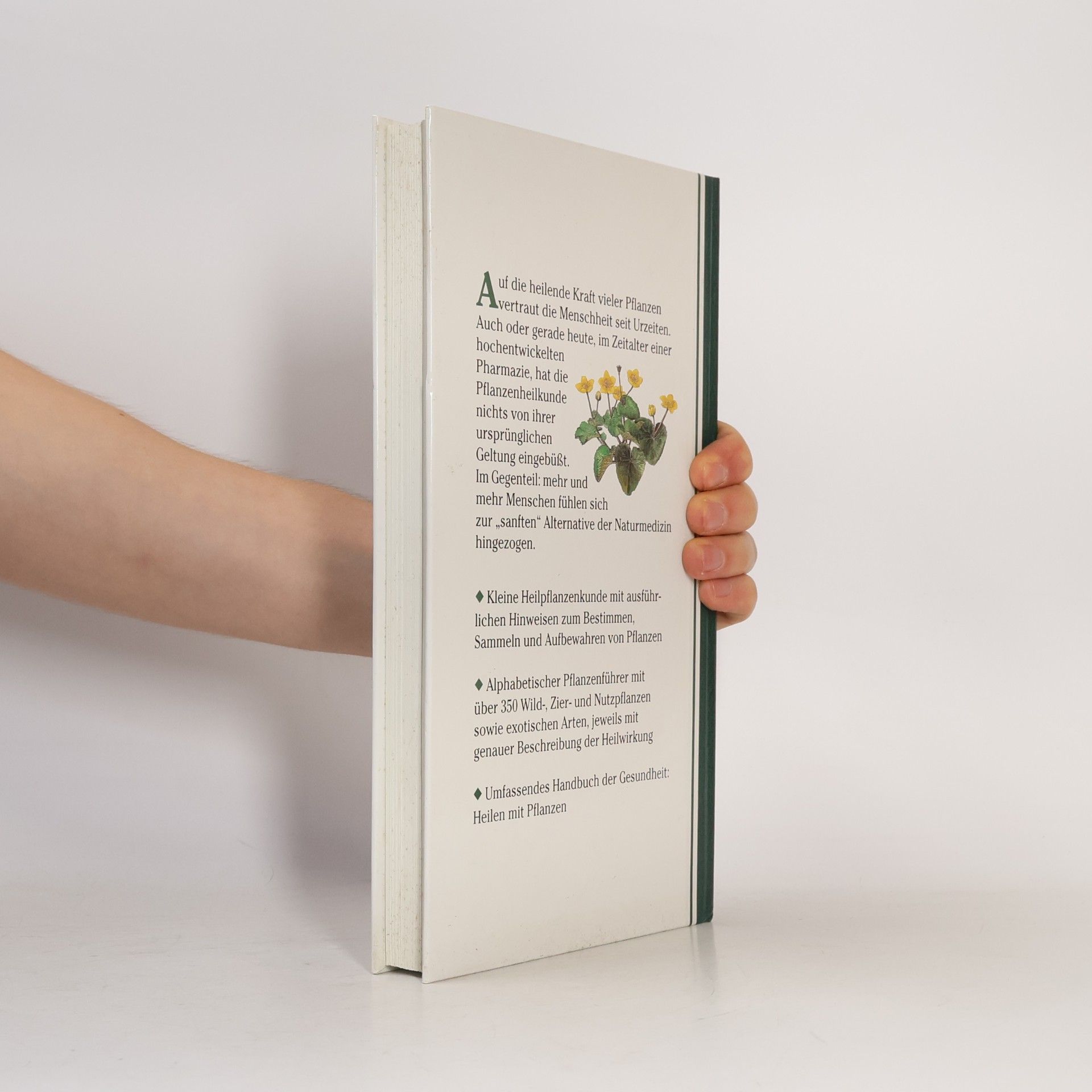 Autorenkollektiv Geheimnisse und Heilkräfte der Pflanzen