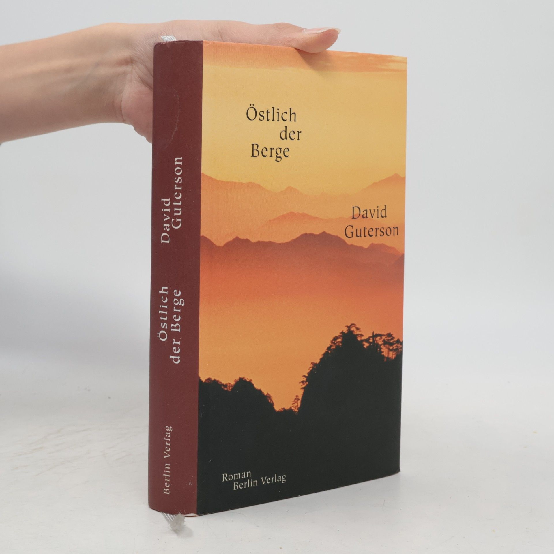 David Guterson Östlich der Berge