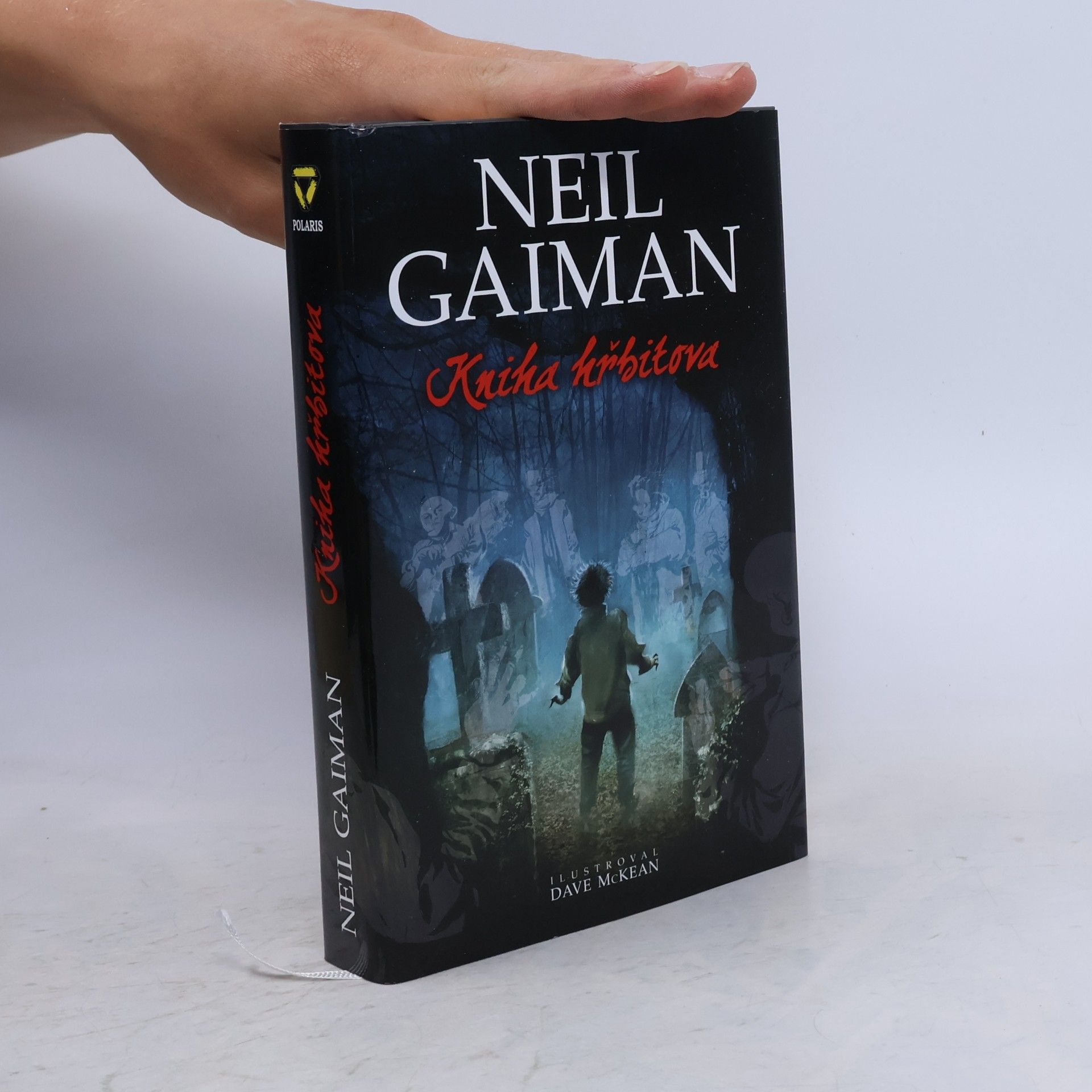 Neil Gaiman Kniha hřbitova