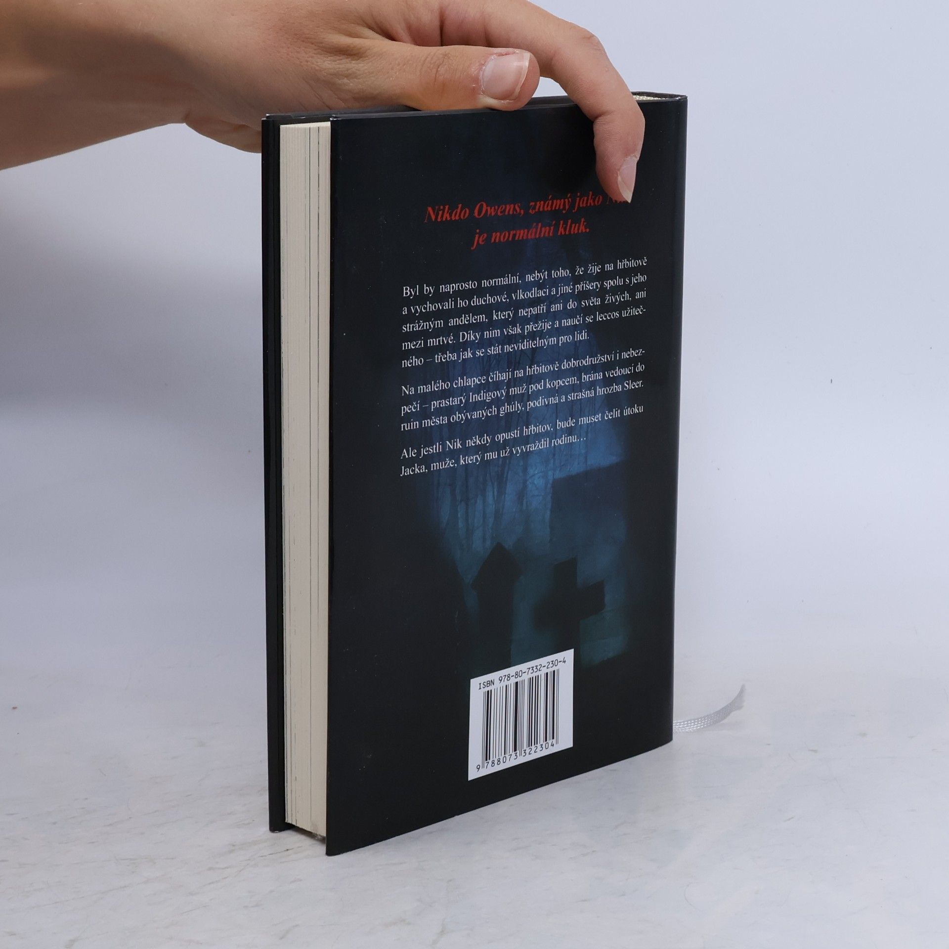Neil Gaiman Kniha hřbitova
