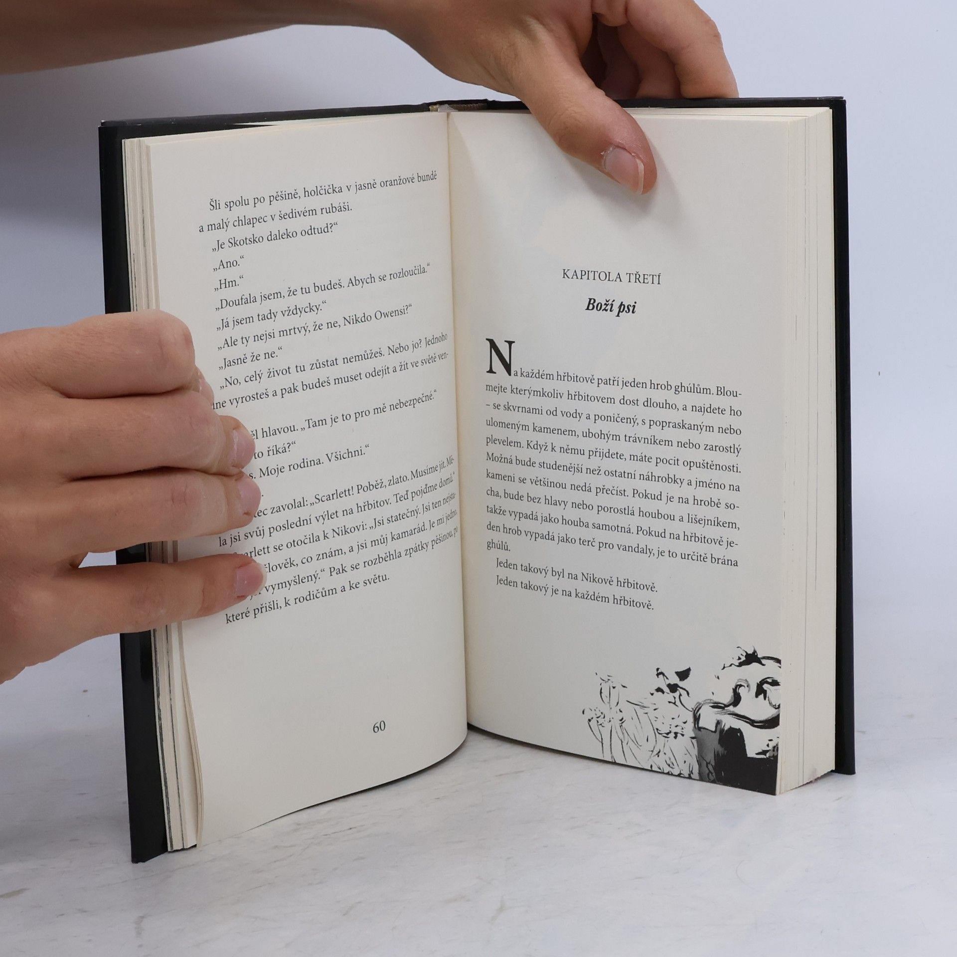 Neil Gaiman Kniha hřbitova